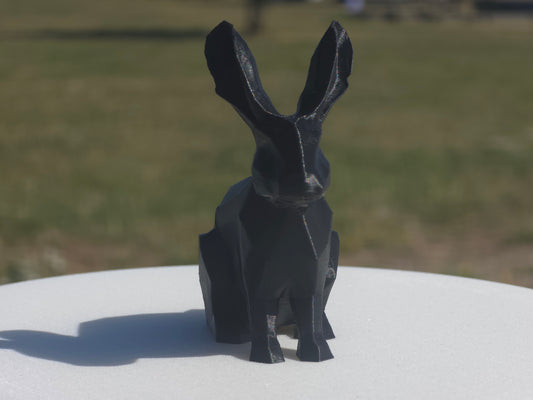 Rabbit