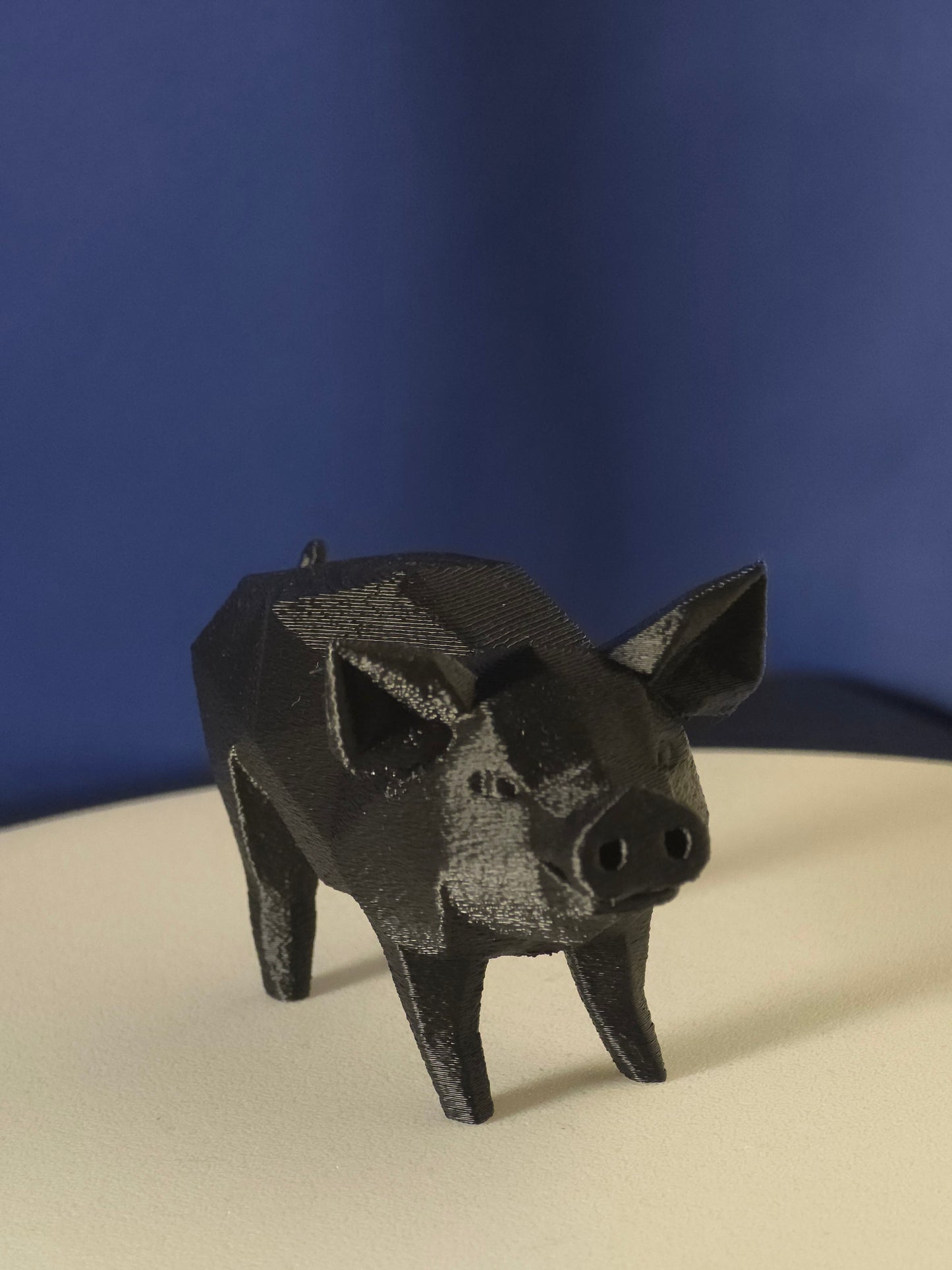 Geometric Pig