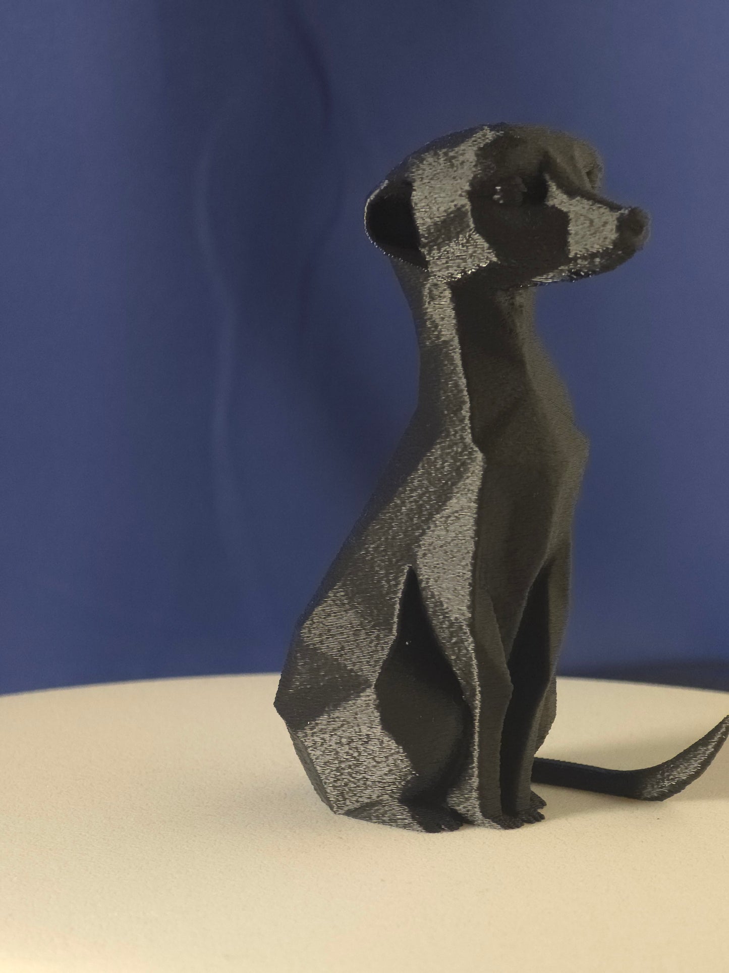 Geometric Meerkat