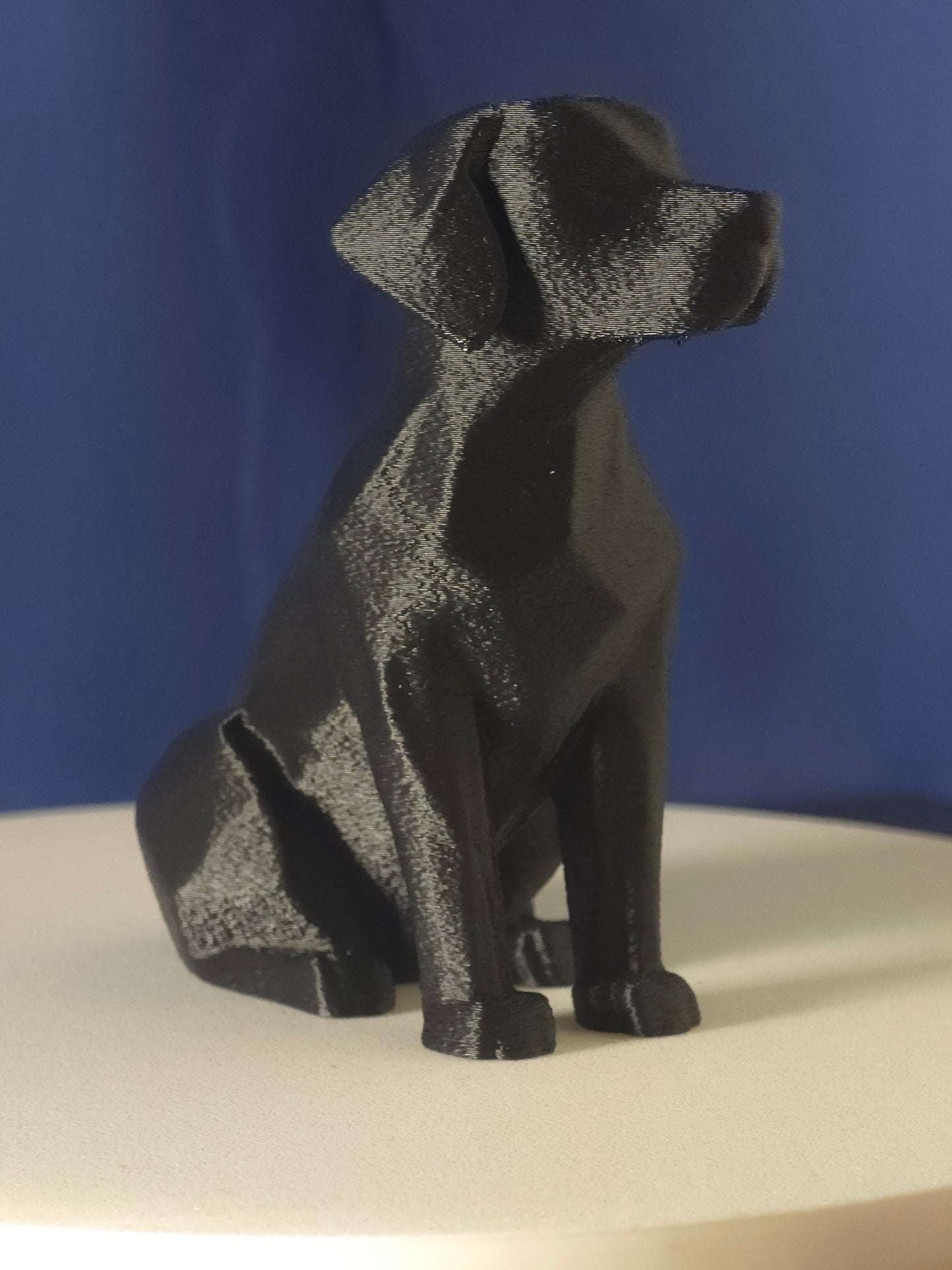 Geometric Labrador