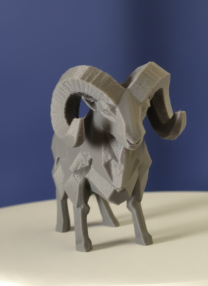 Geometric Ram