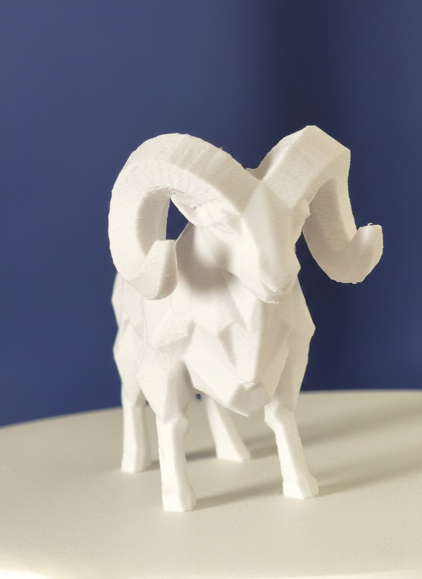 Geometric Ram
