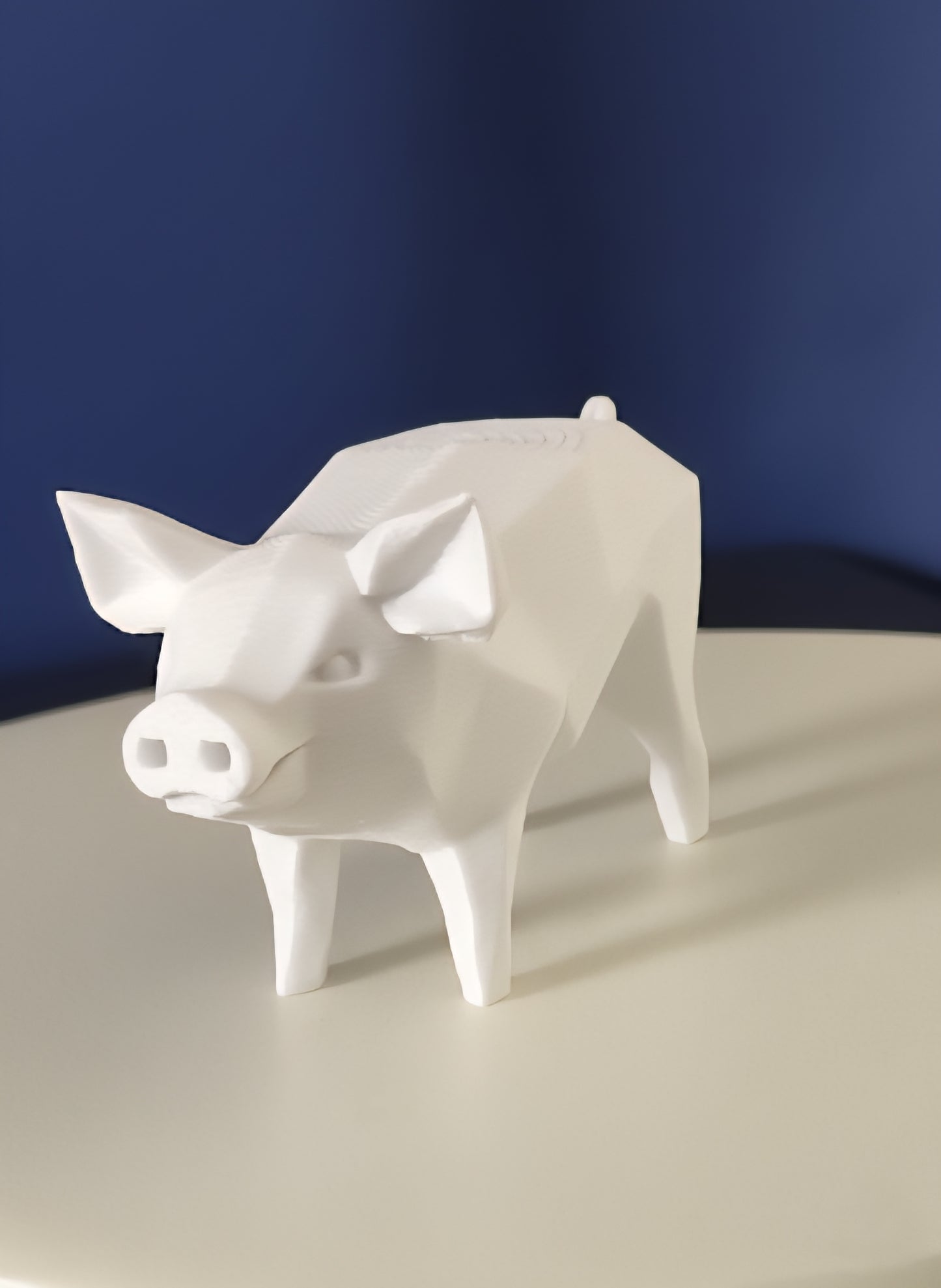 Geometric Pig