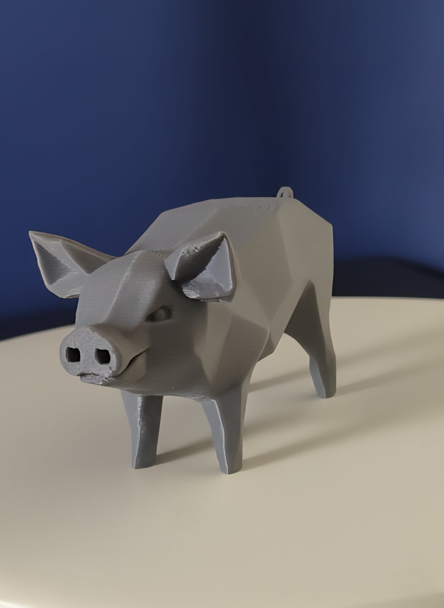 Geometric Pig