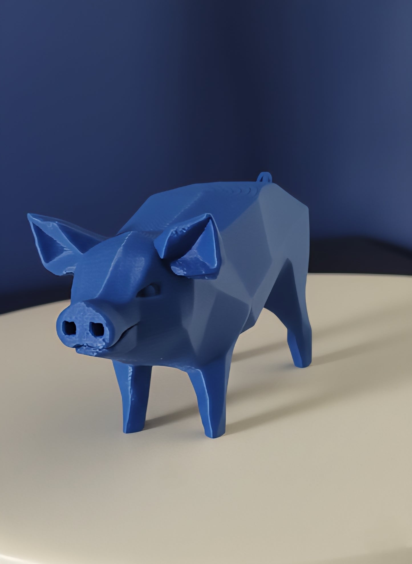 Geometric Pig
