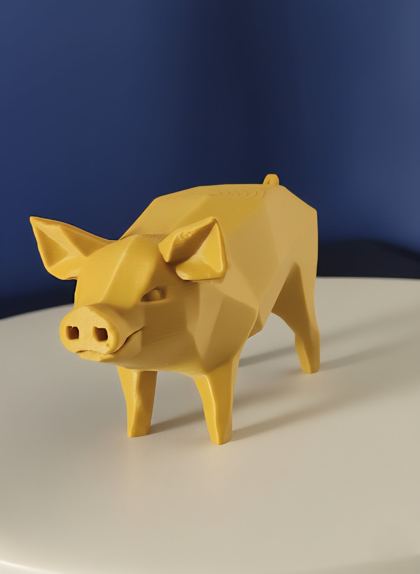 Geometric Pig