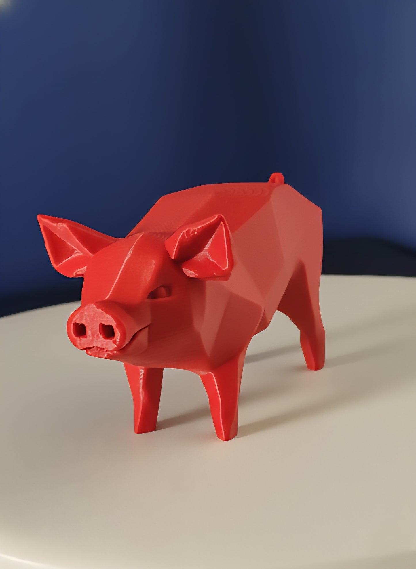 Geometric Pig