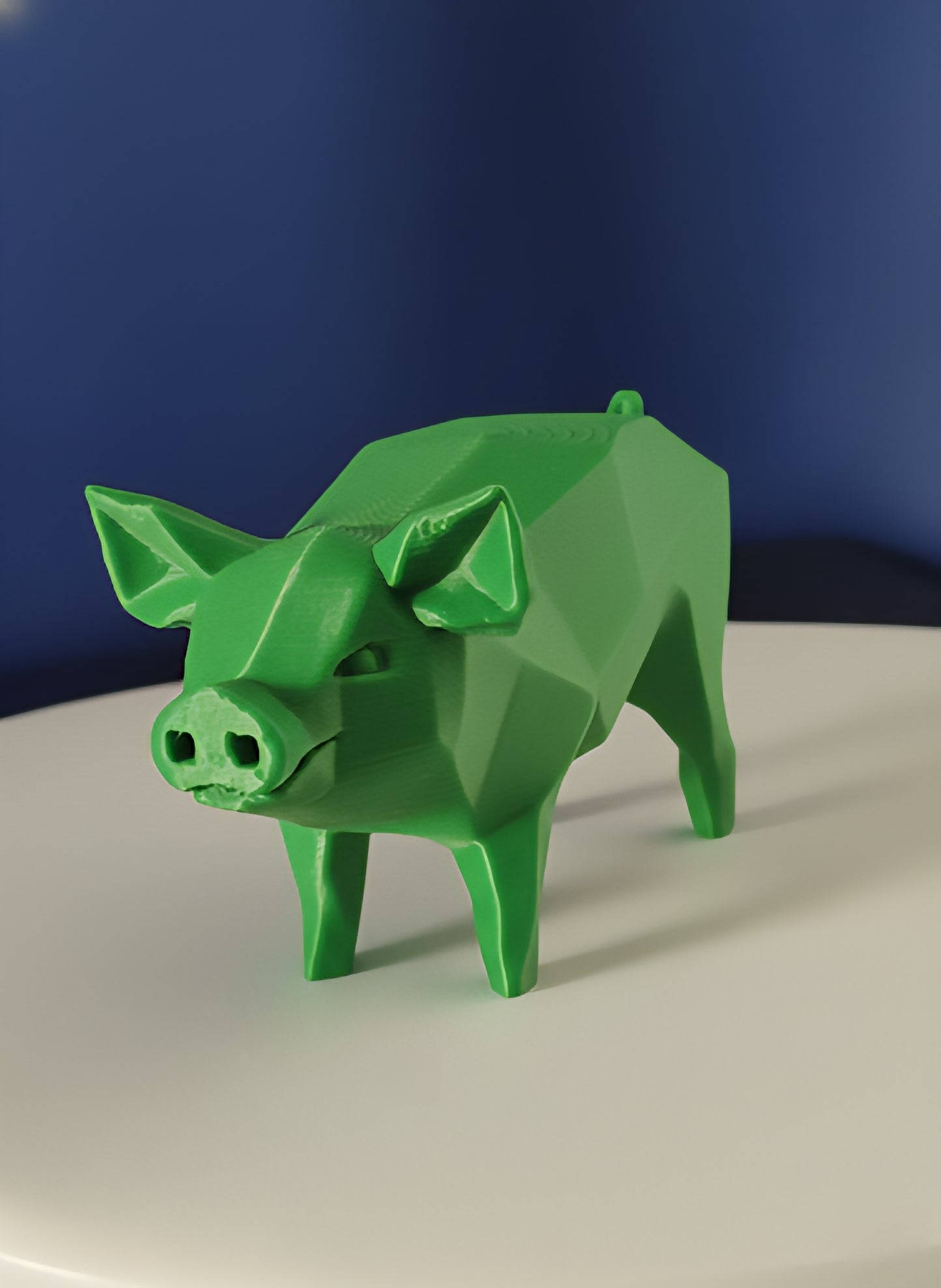 Geometric Pig
