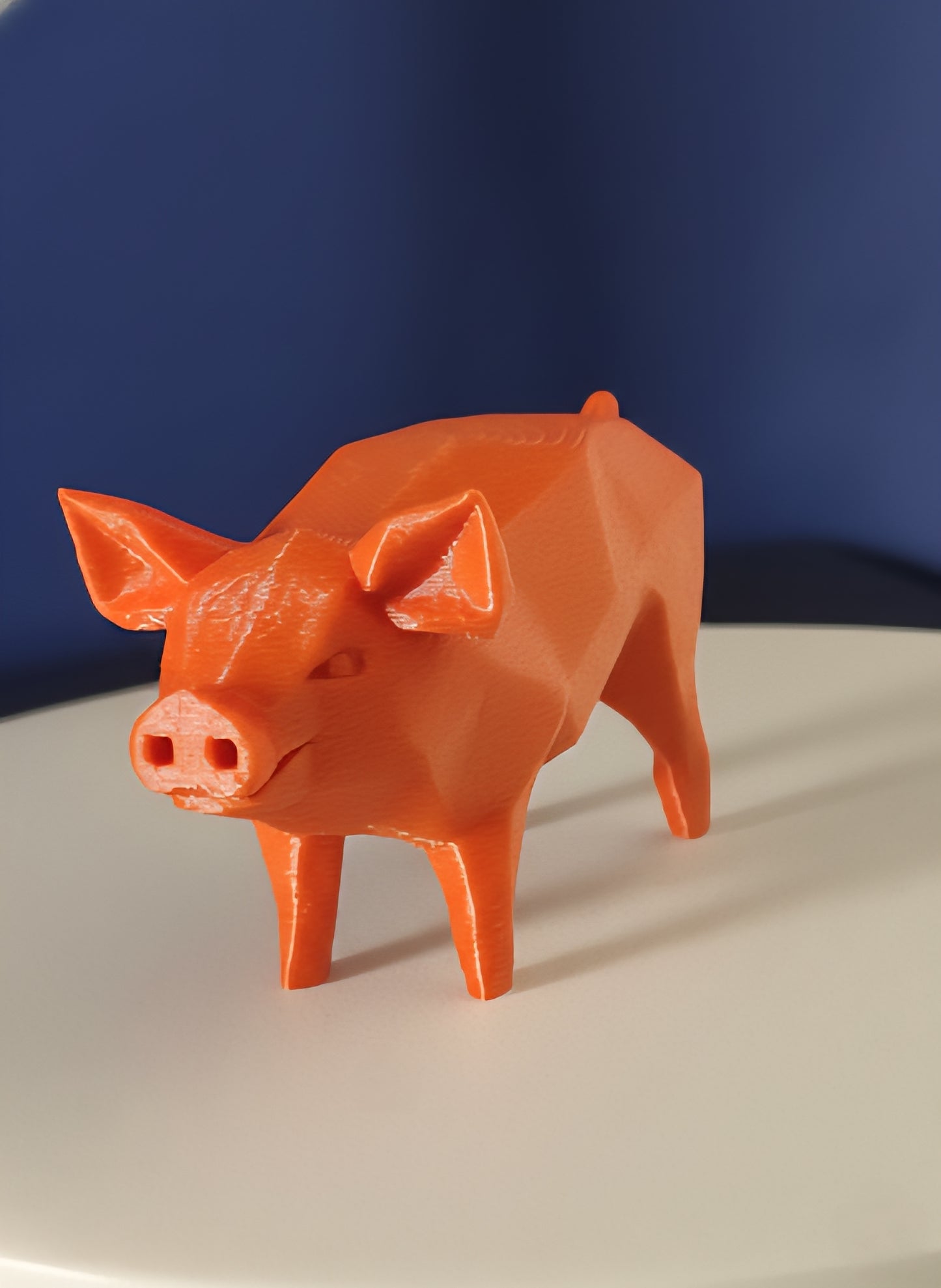 Geometric Pig