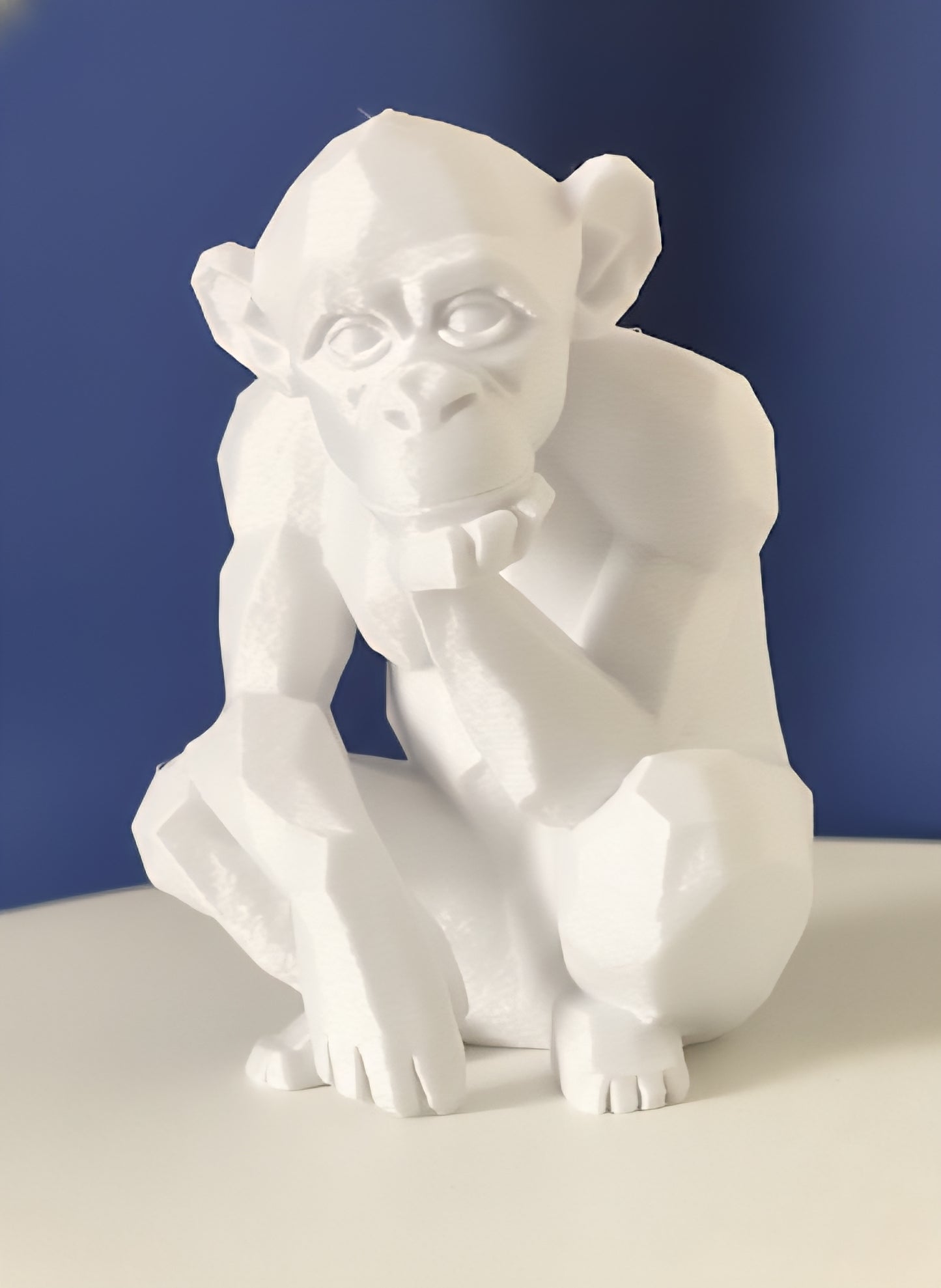 Geometric Monkey