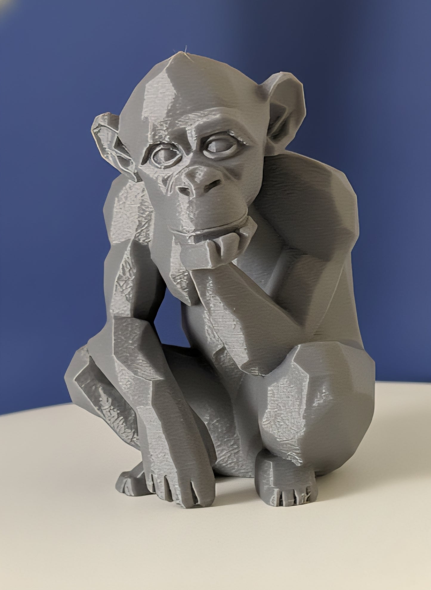 Geometric Monkey