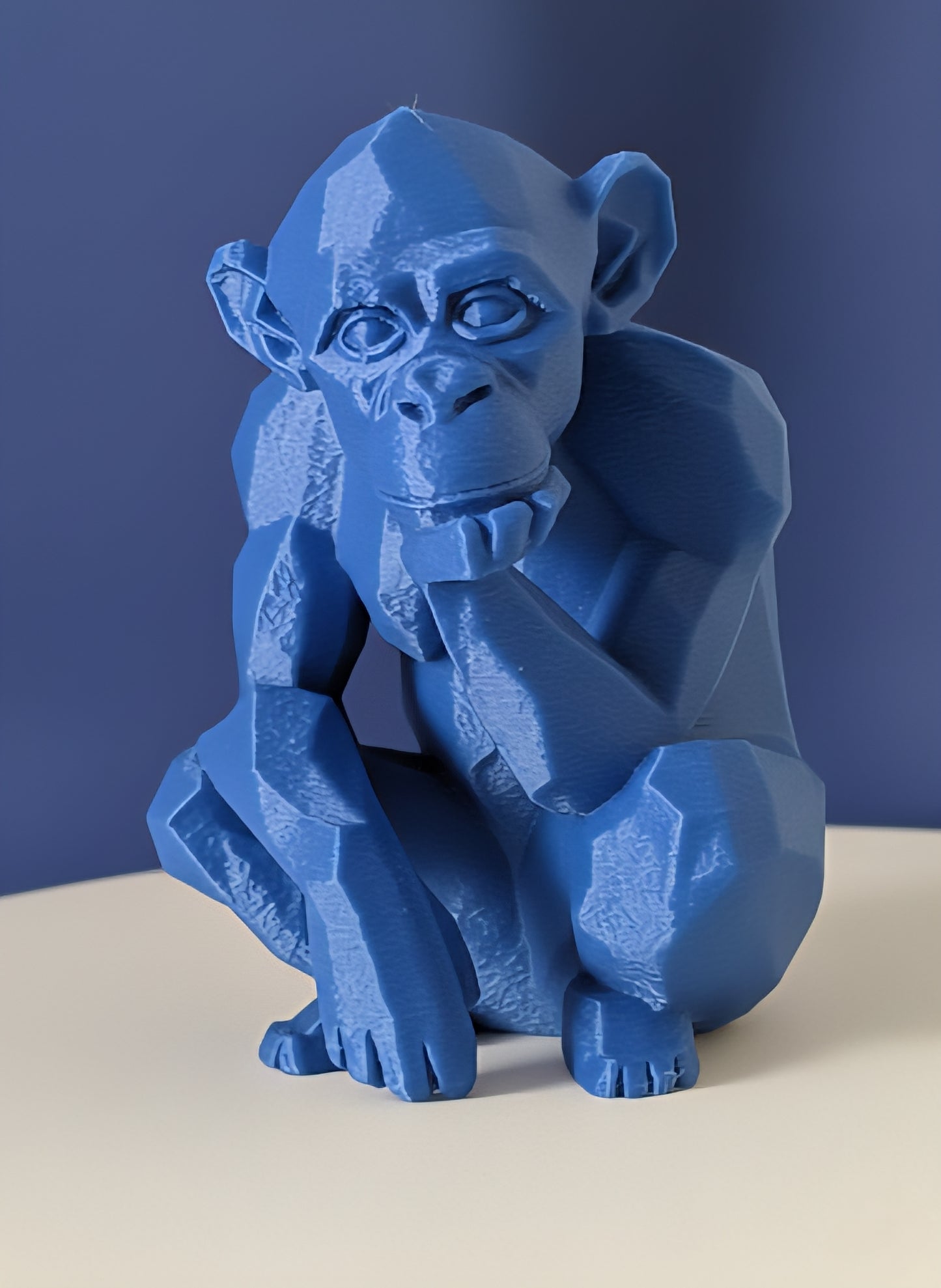 Geometric Monkey