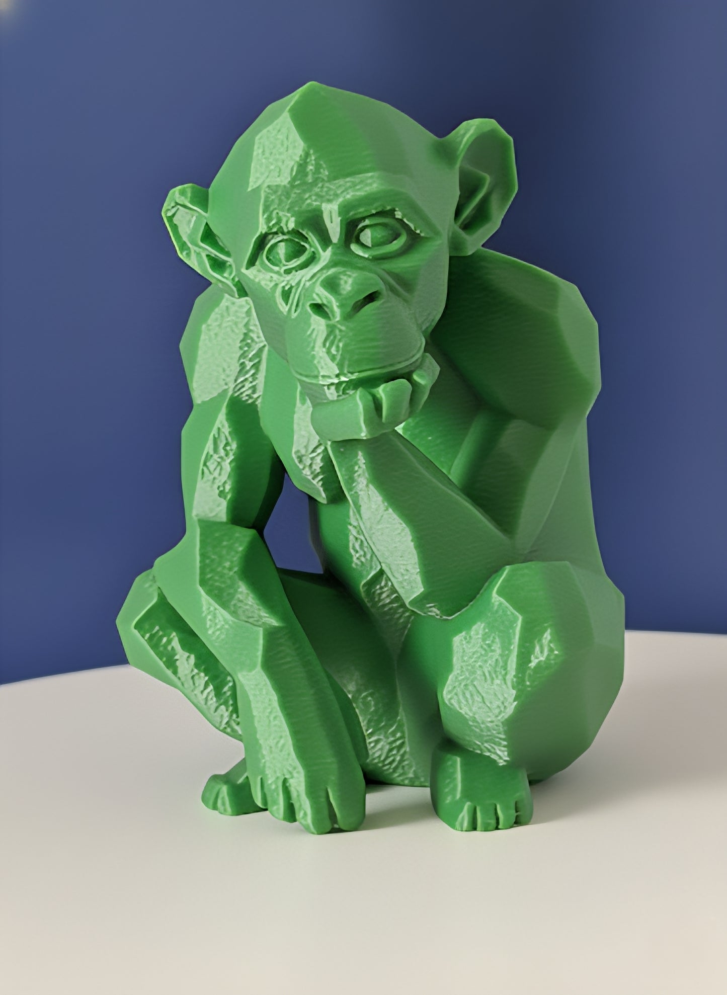 Geometric Monkey