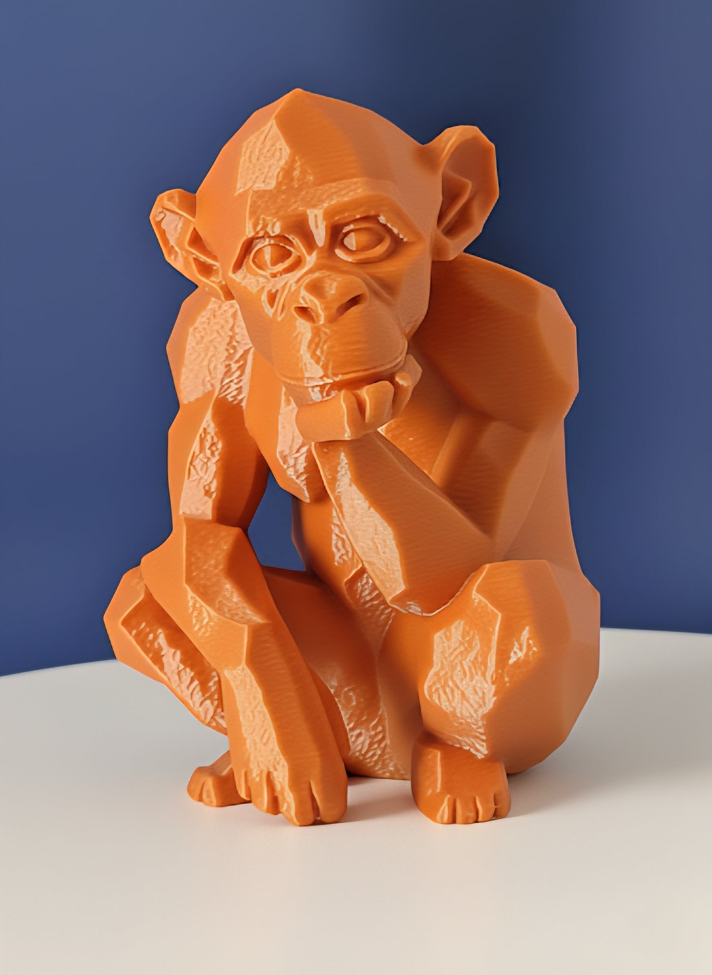 Geometric Monkey