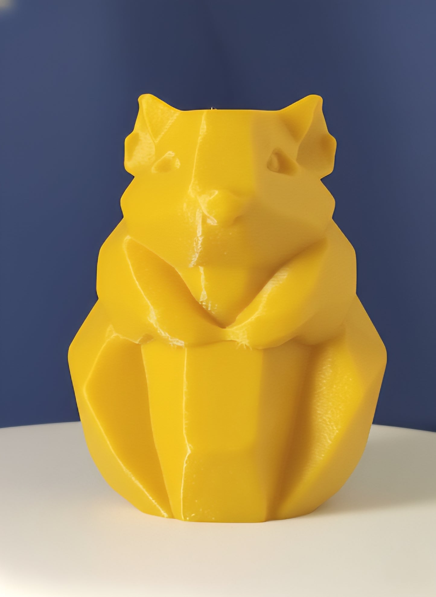 Geometric Cute Hamster
