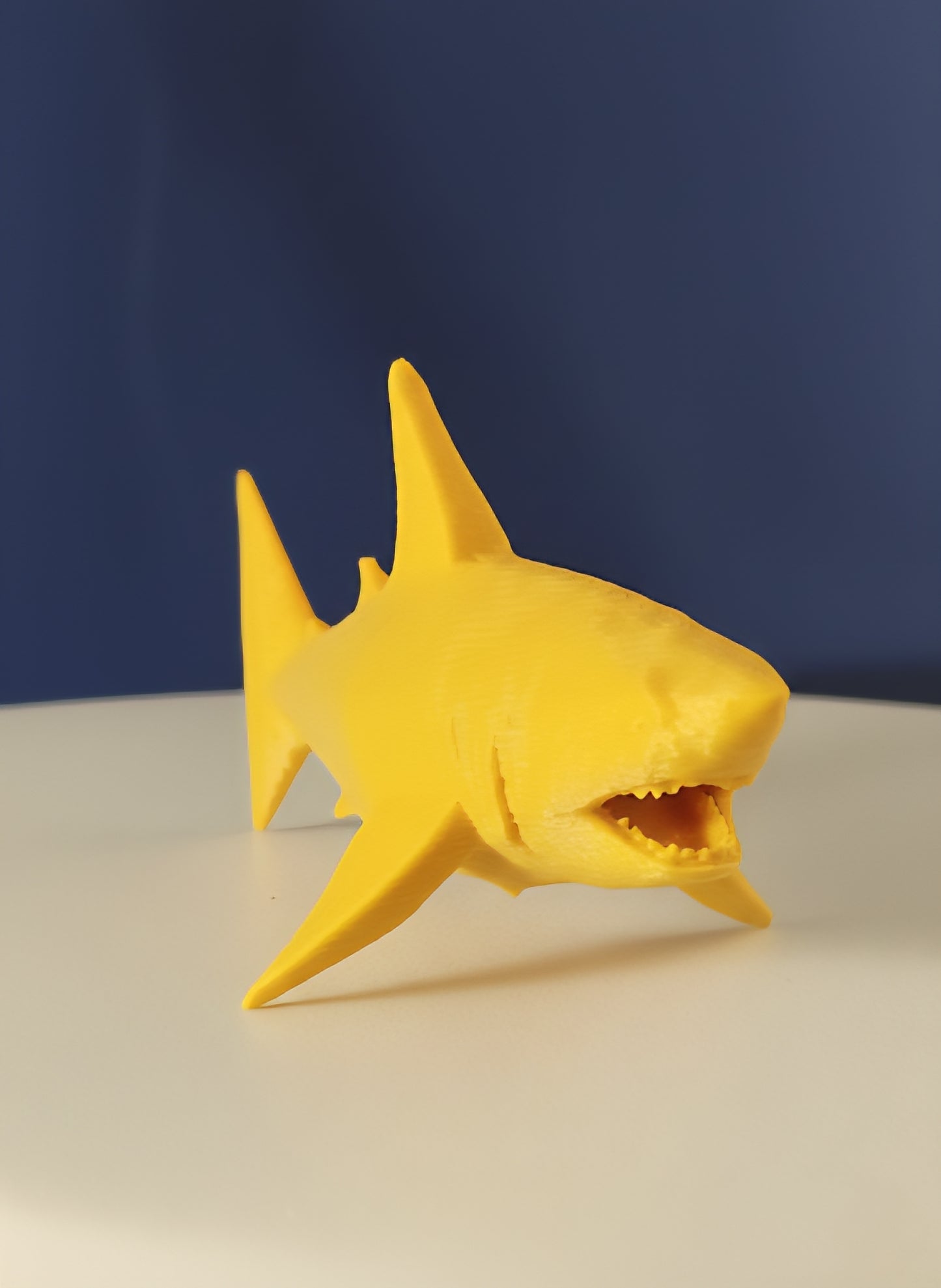 Geometric Shark