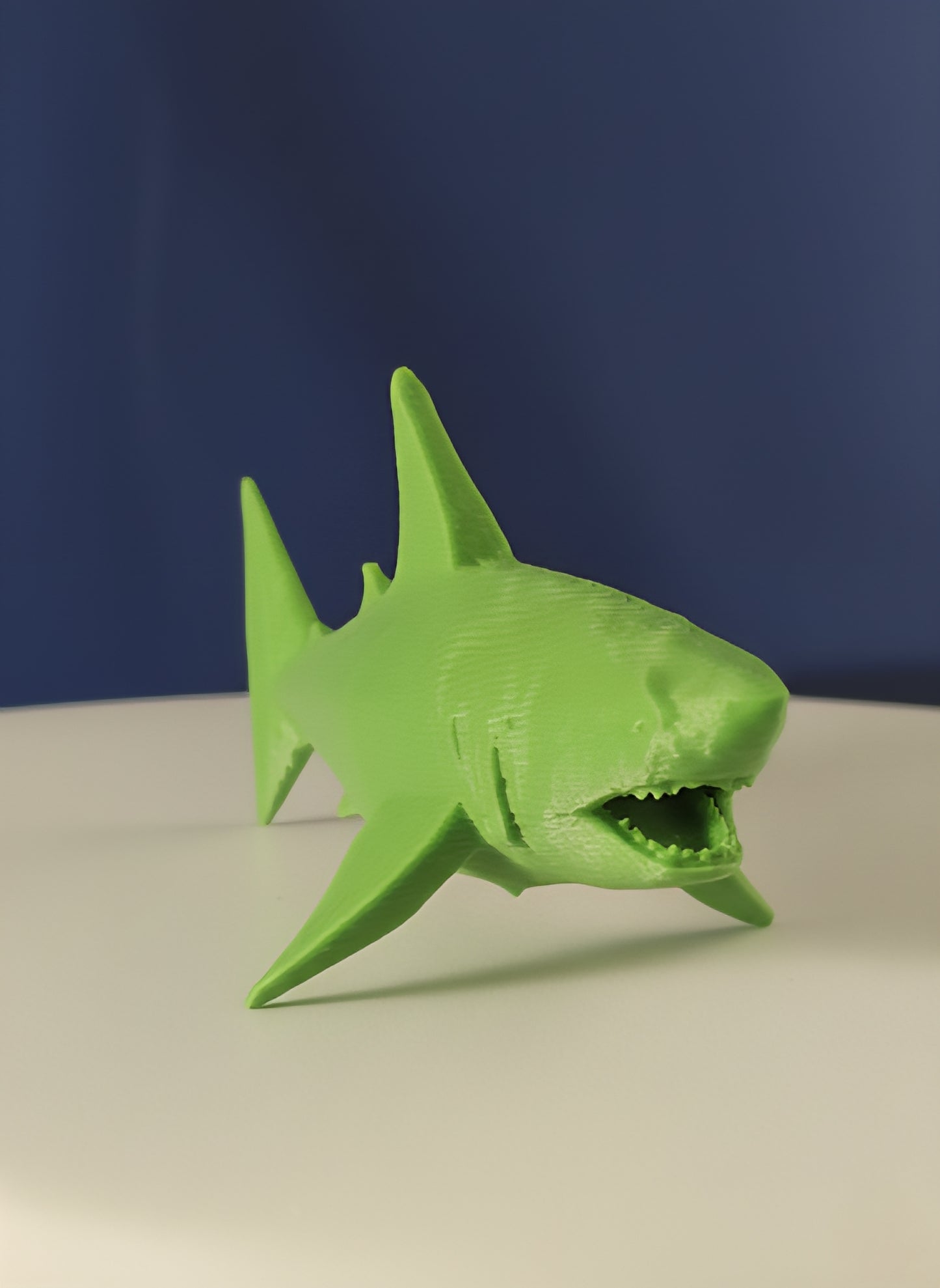 Geometric Shark