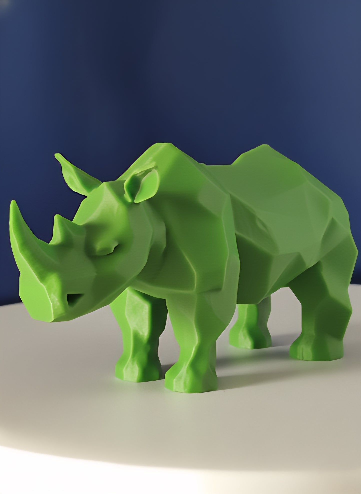 Geometric Rhino