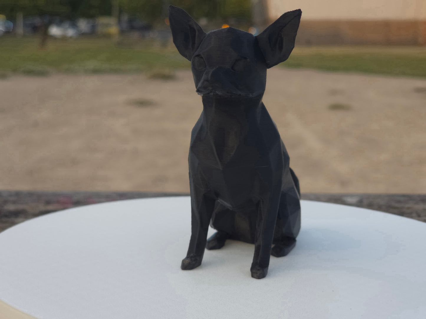 Chihuahua