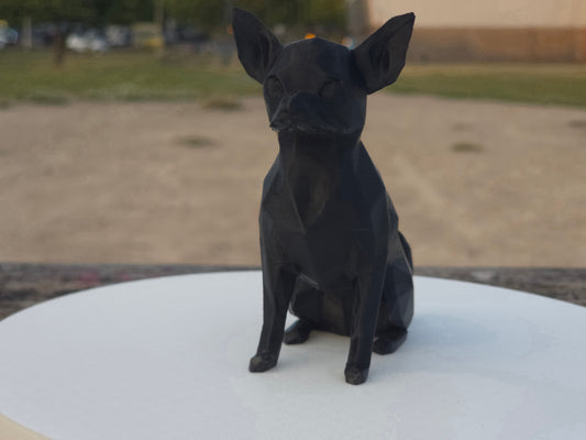 Chihuahua
