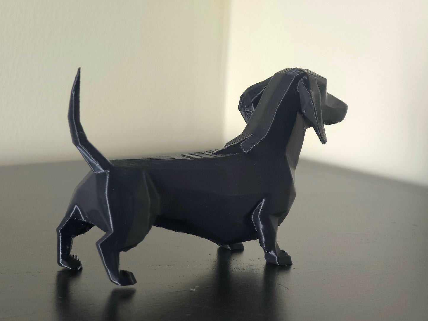 Daschund (Sausage Dog)