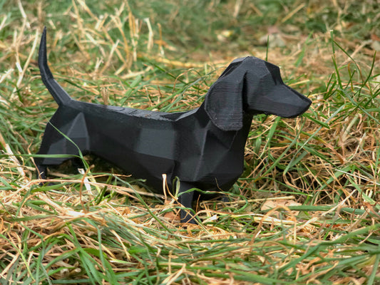 Daschund (Sausage Dog)