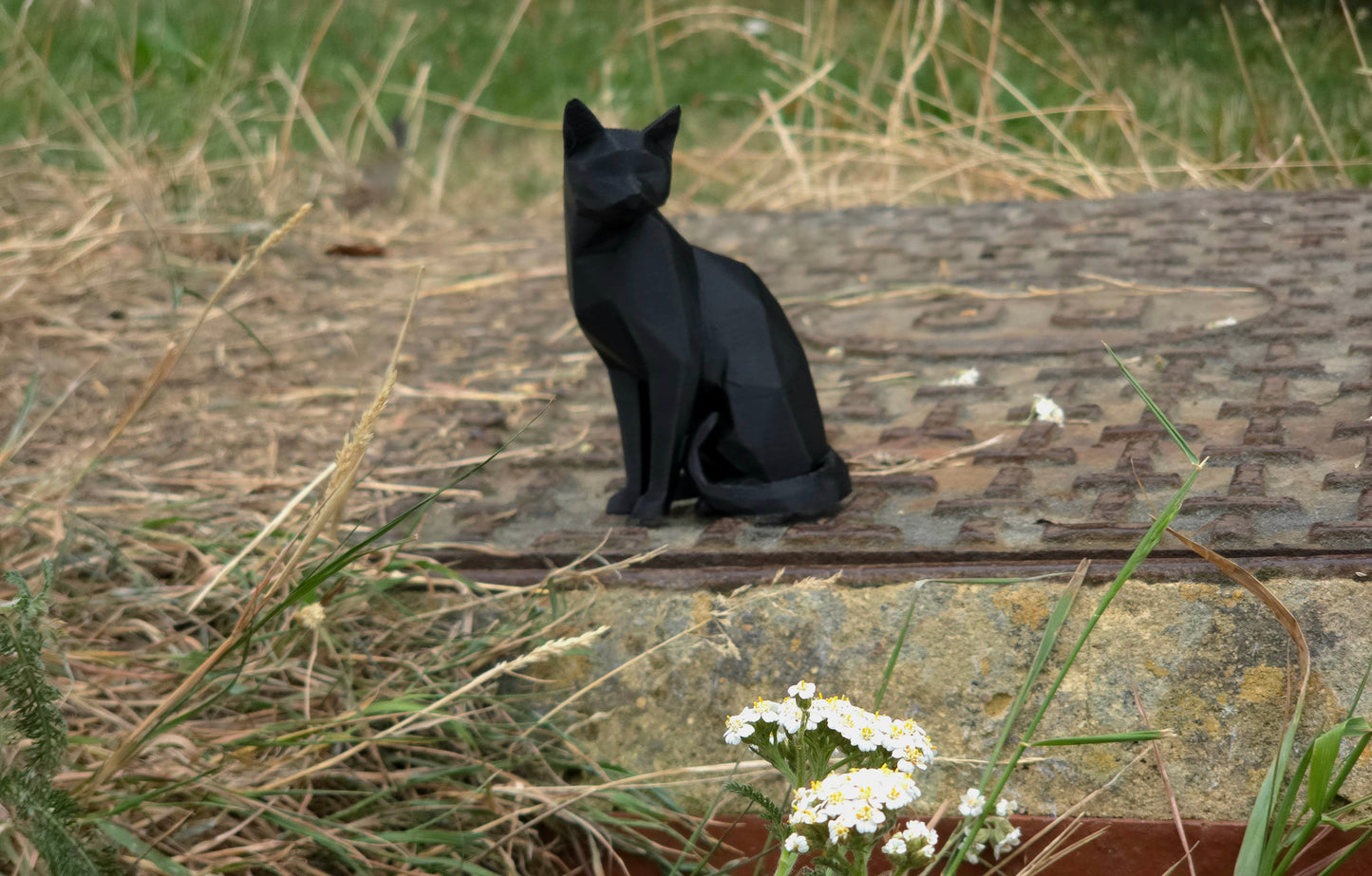 Cat with curled tail