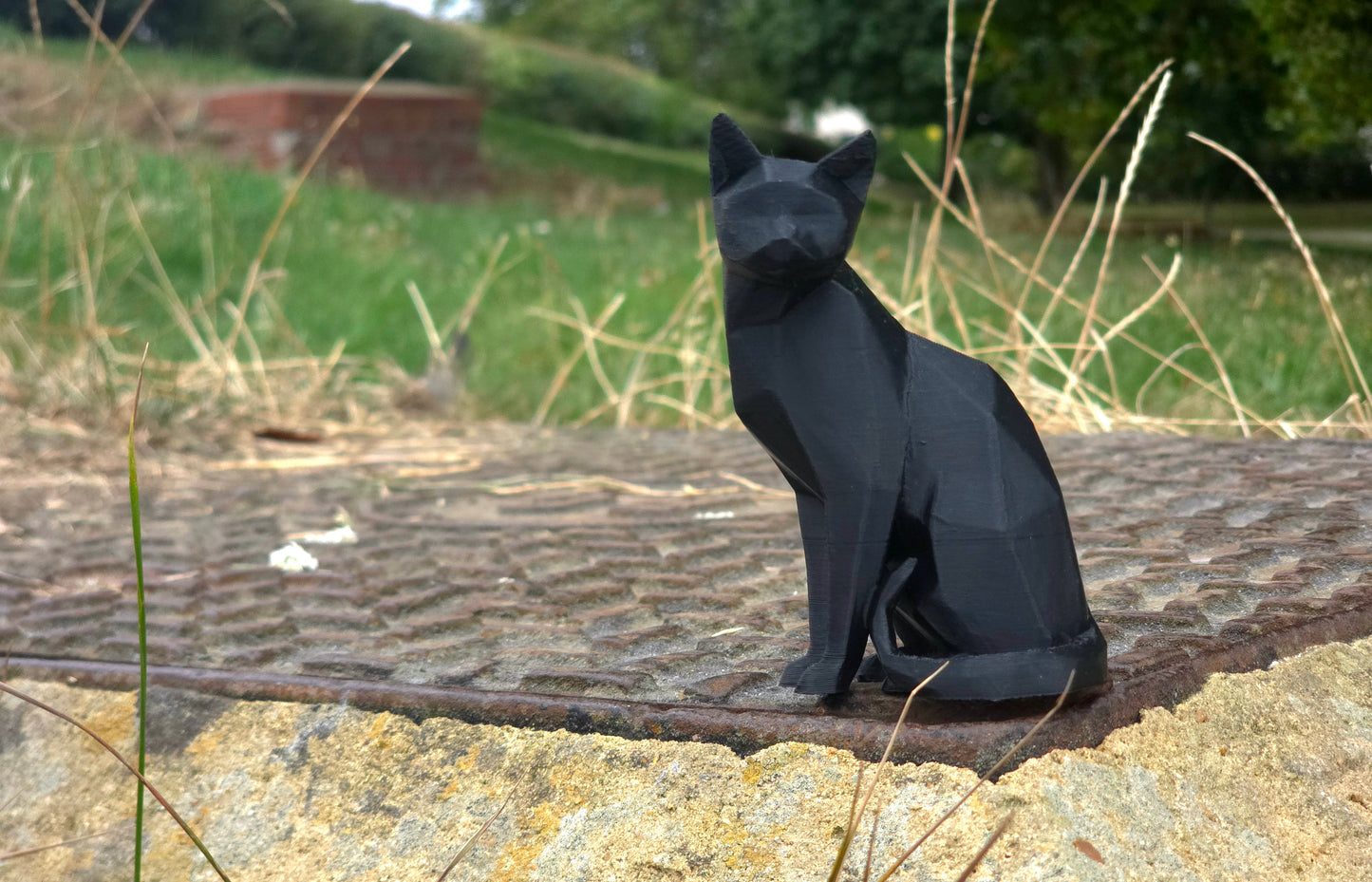 Cat with curled tail