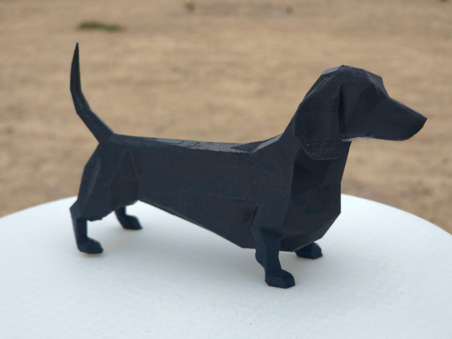 Daschund (Sausage Dog)