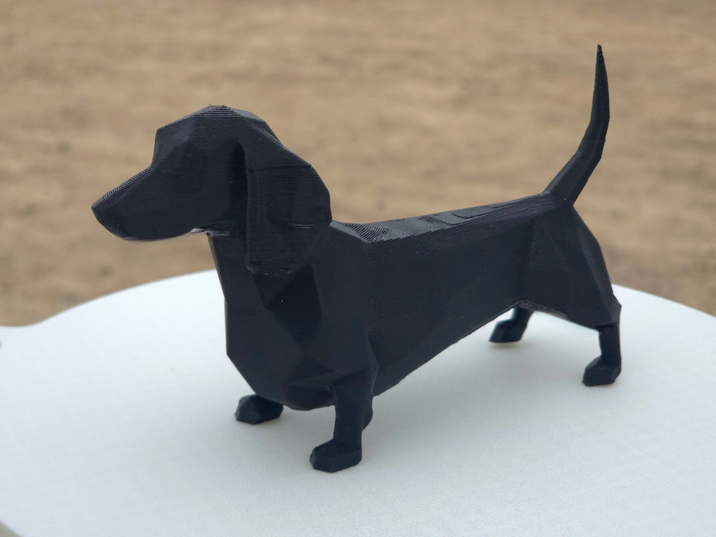 Daschund (Sausage Dog)