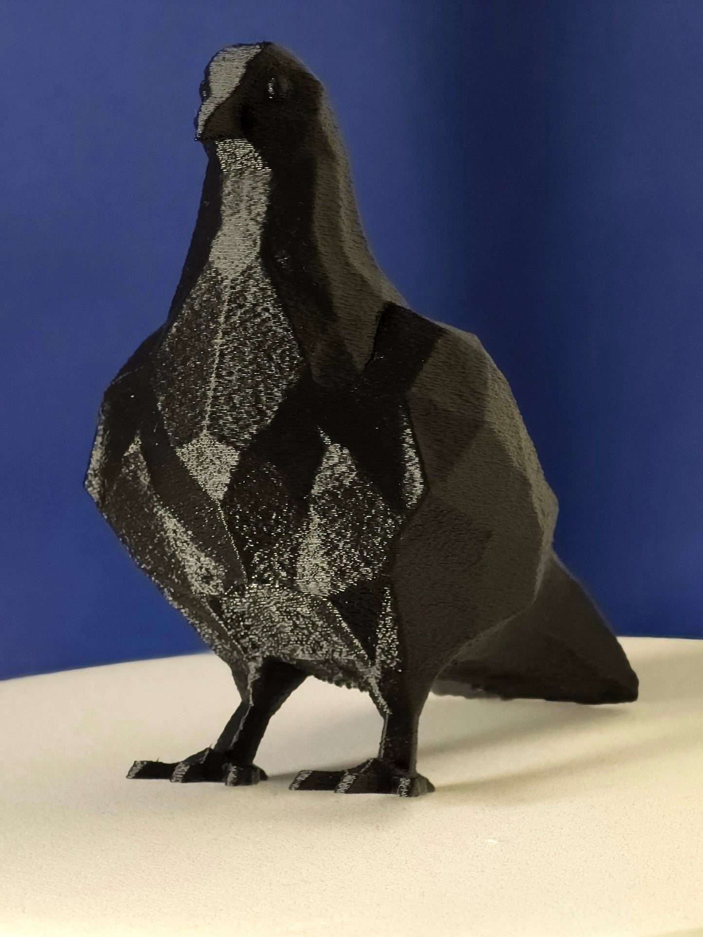Geometric Pigeon