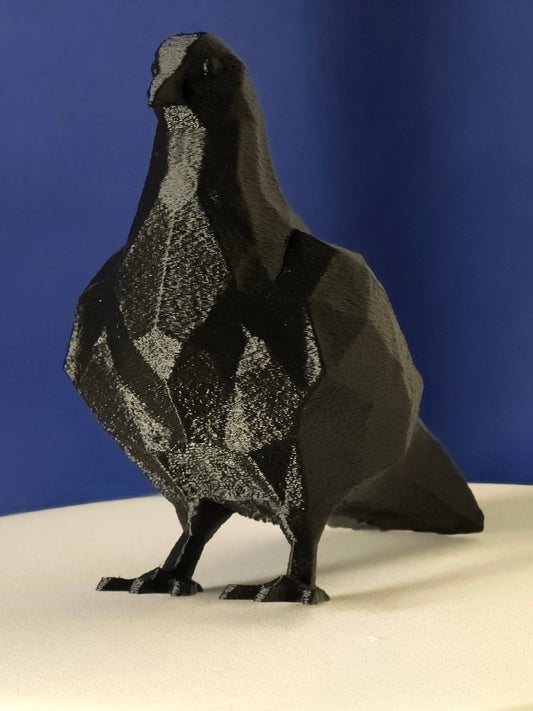 Geometric Pigeon