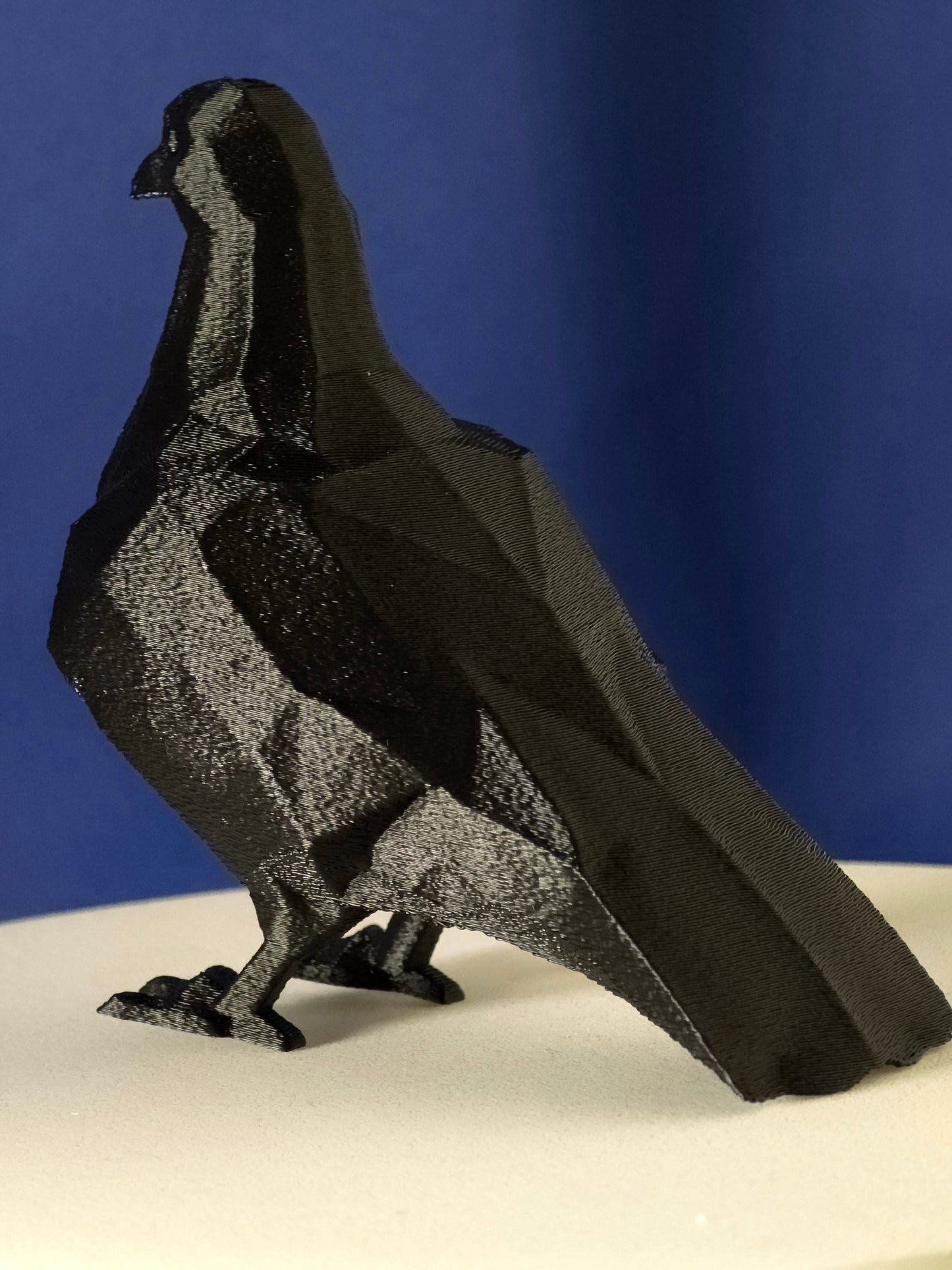 Geometric Pigeon