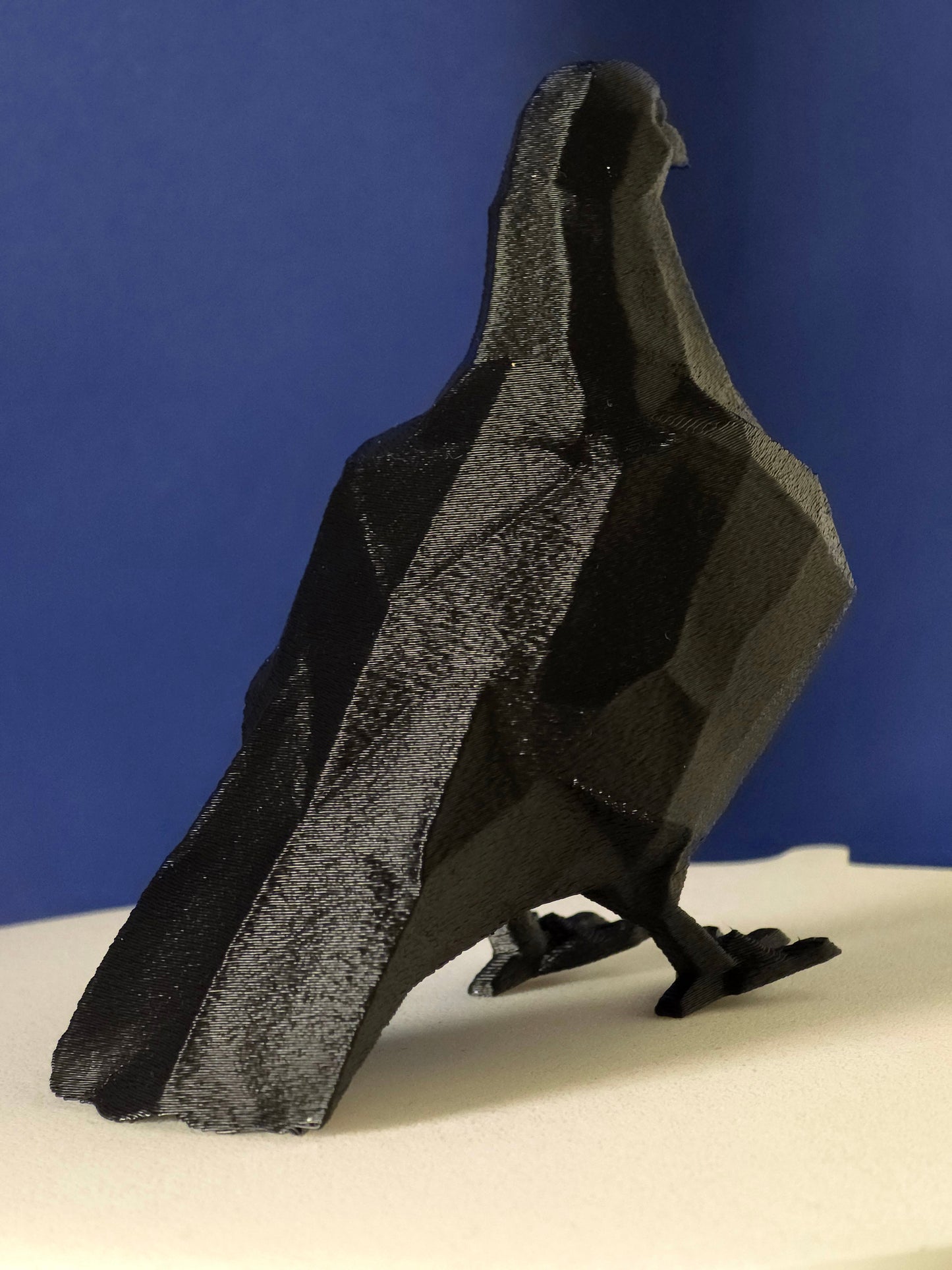 Geometric Pigeon