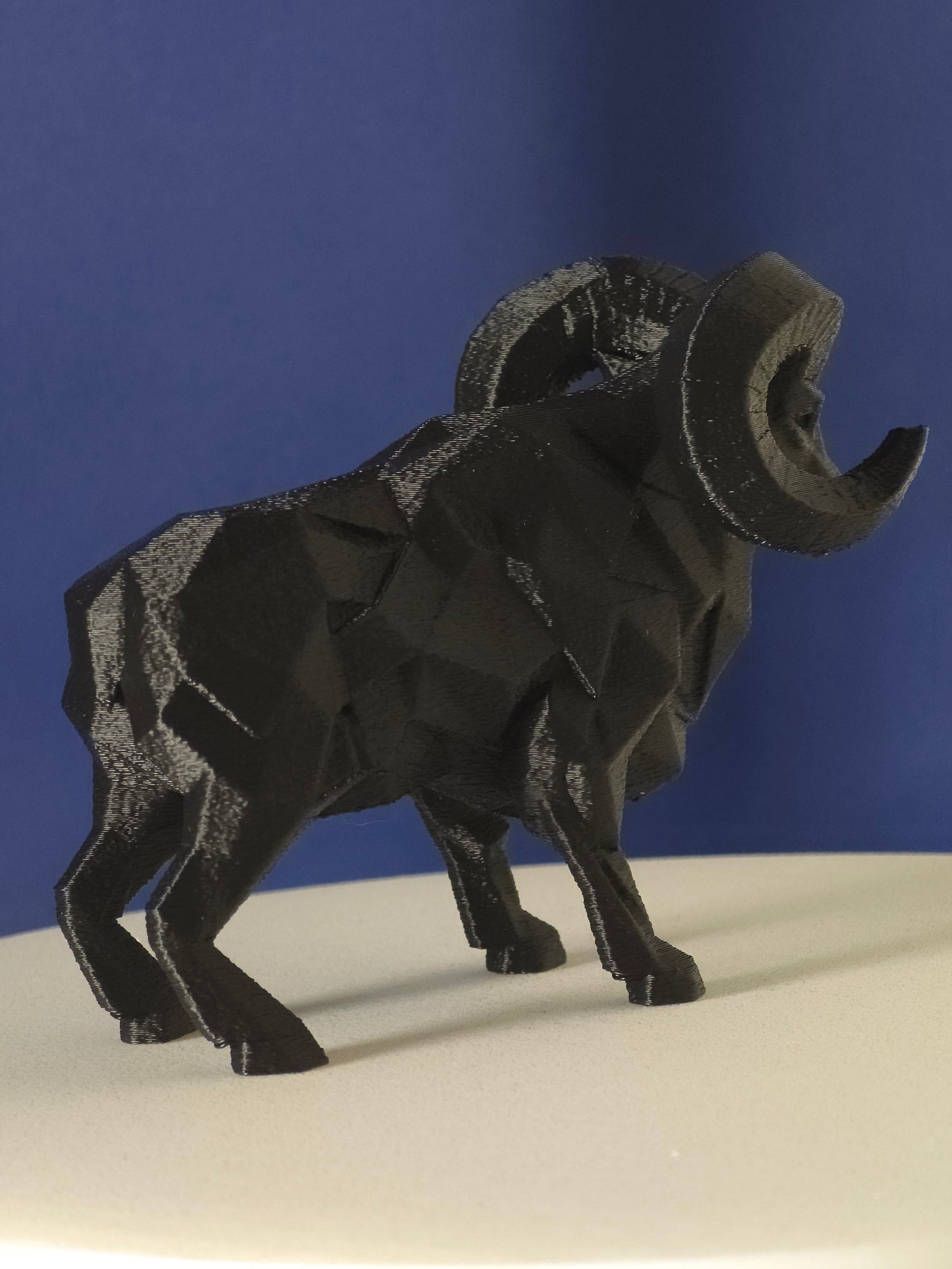 Geometric Ram