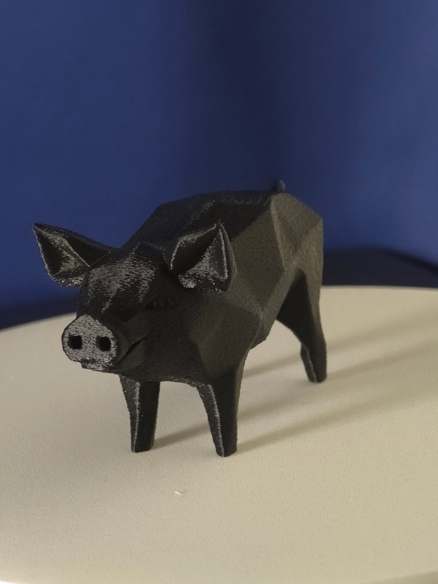 Geometric Pig