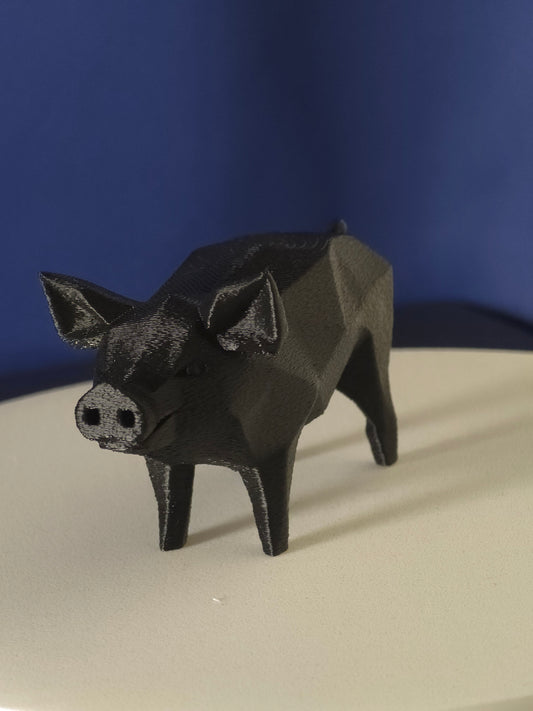 Geometric Pig