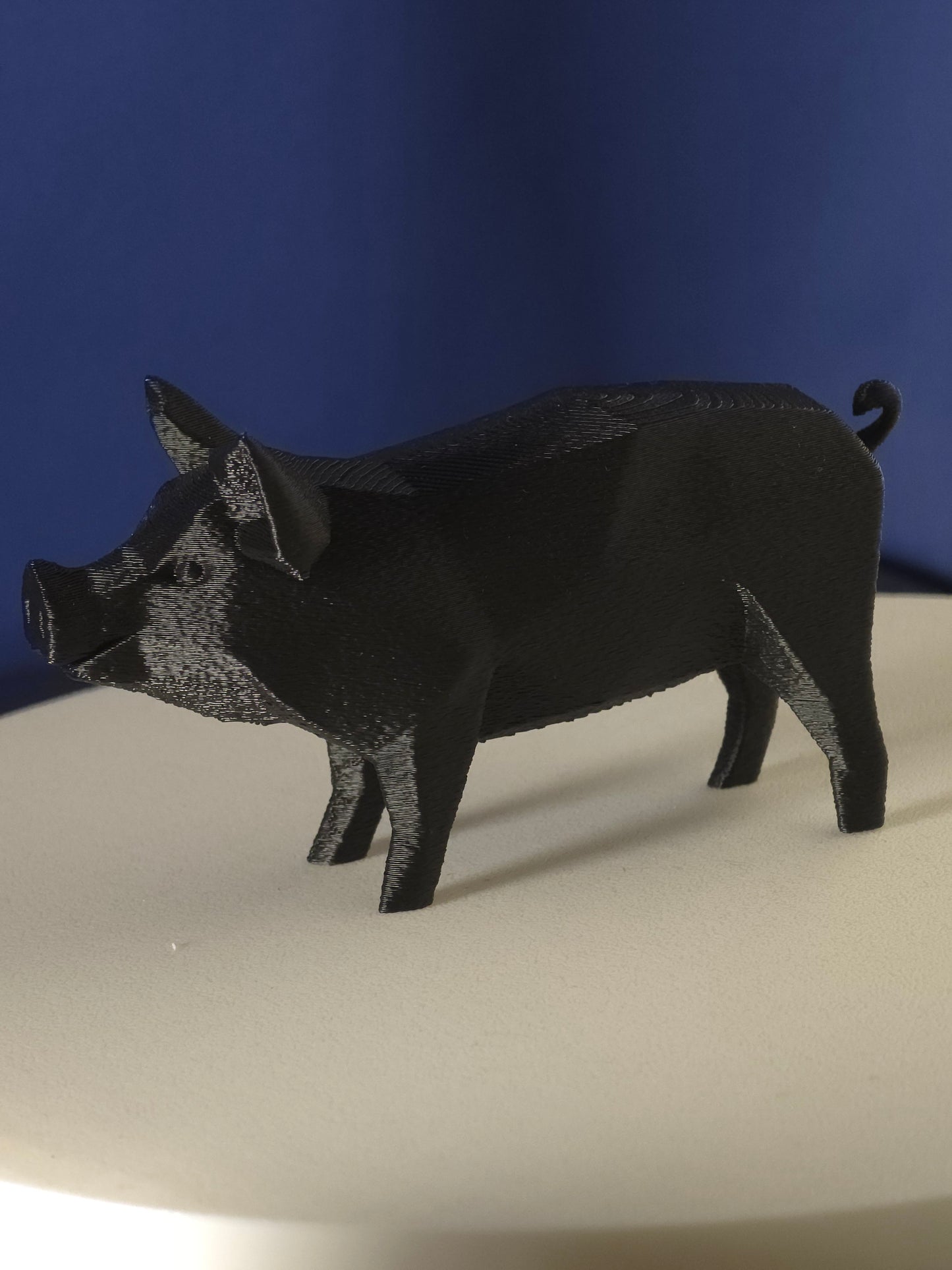 Geometric Pig