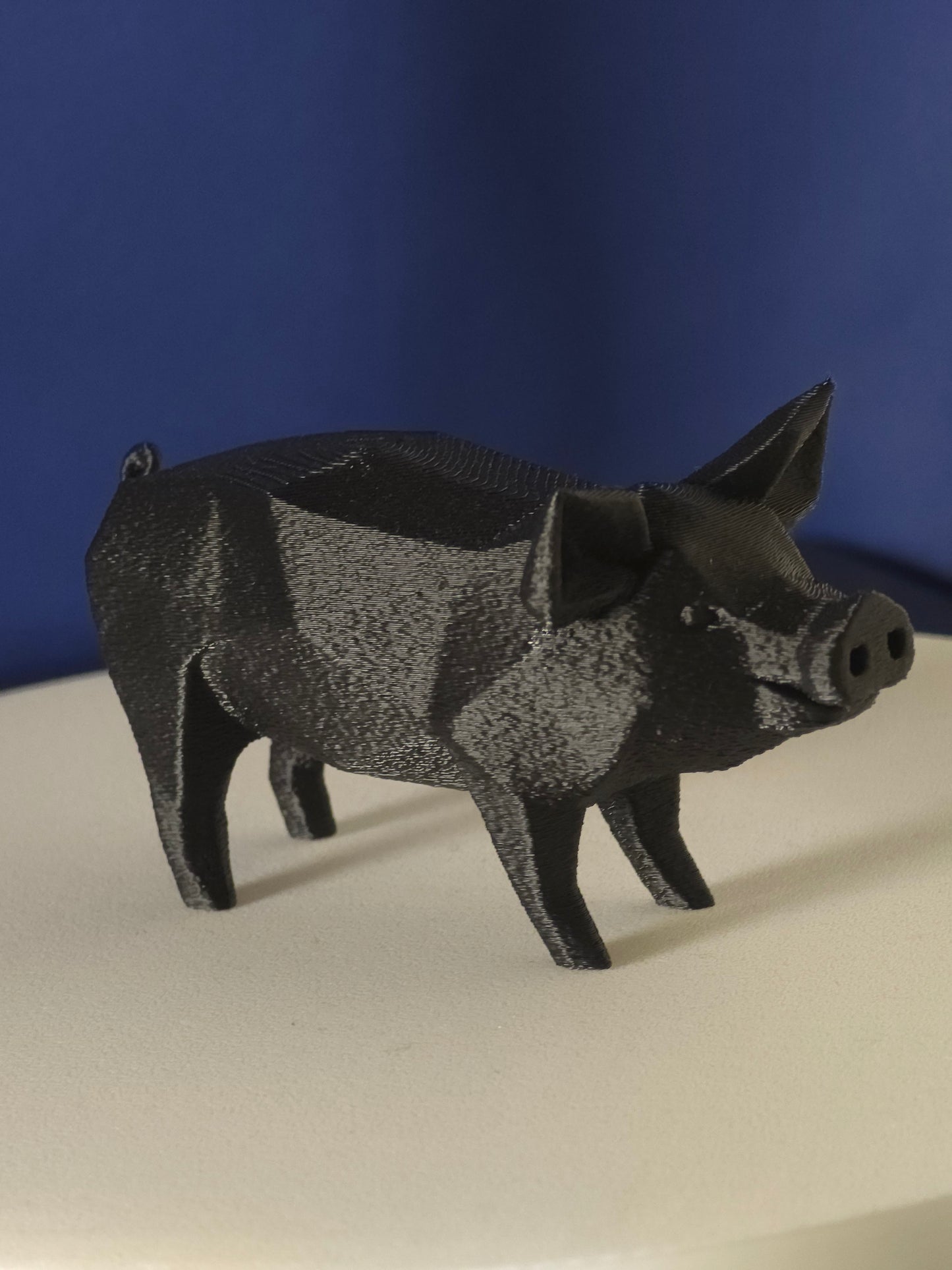 Geometric Pig