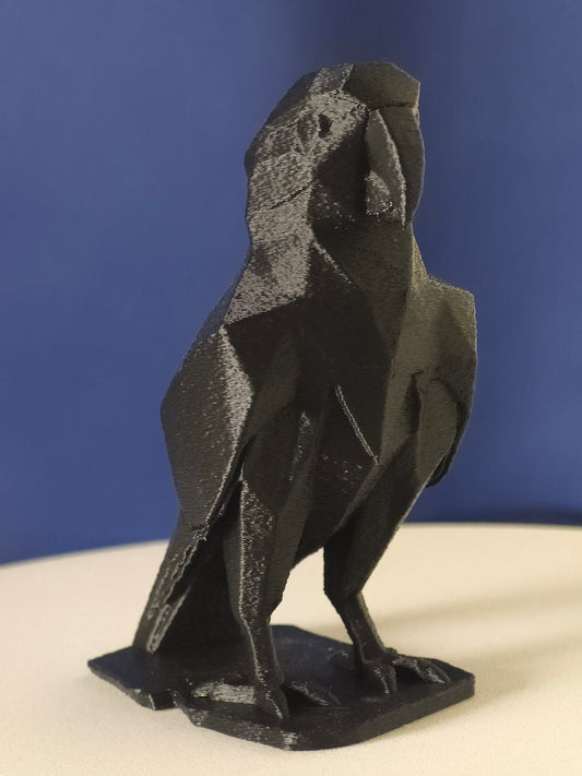 Geometric Parrot