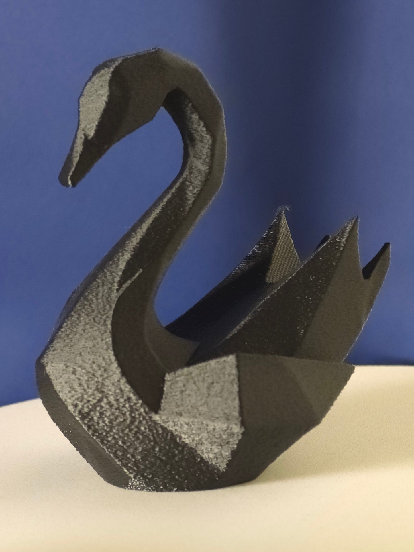 Geometric Swan