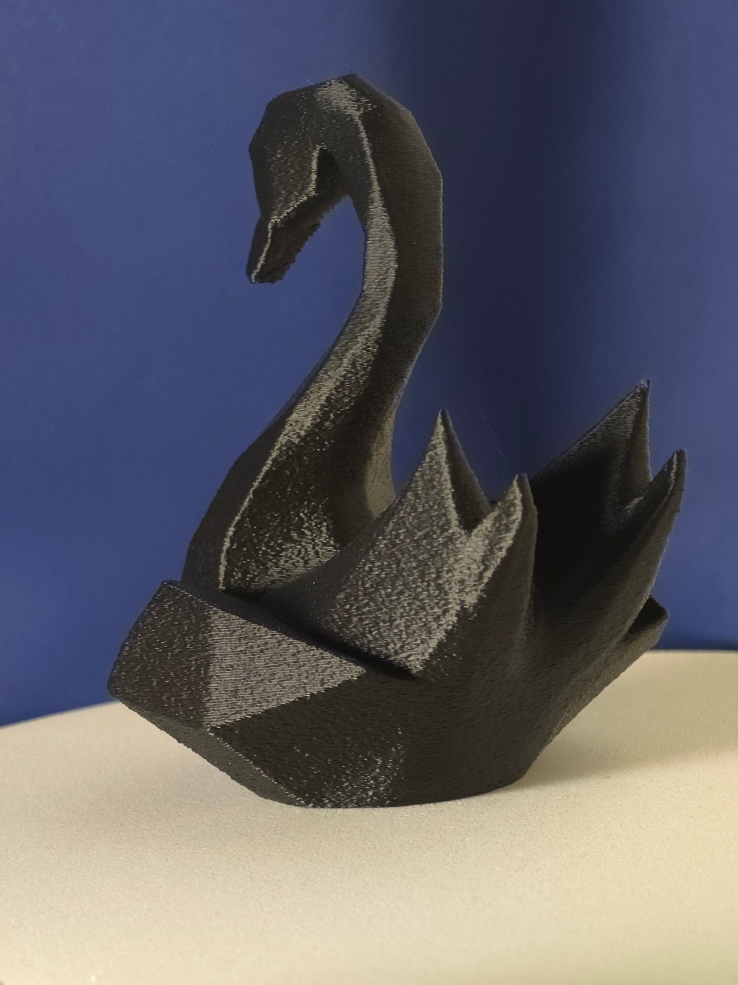 Geometric Swan