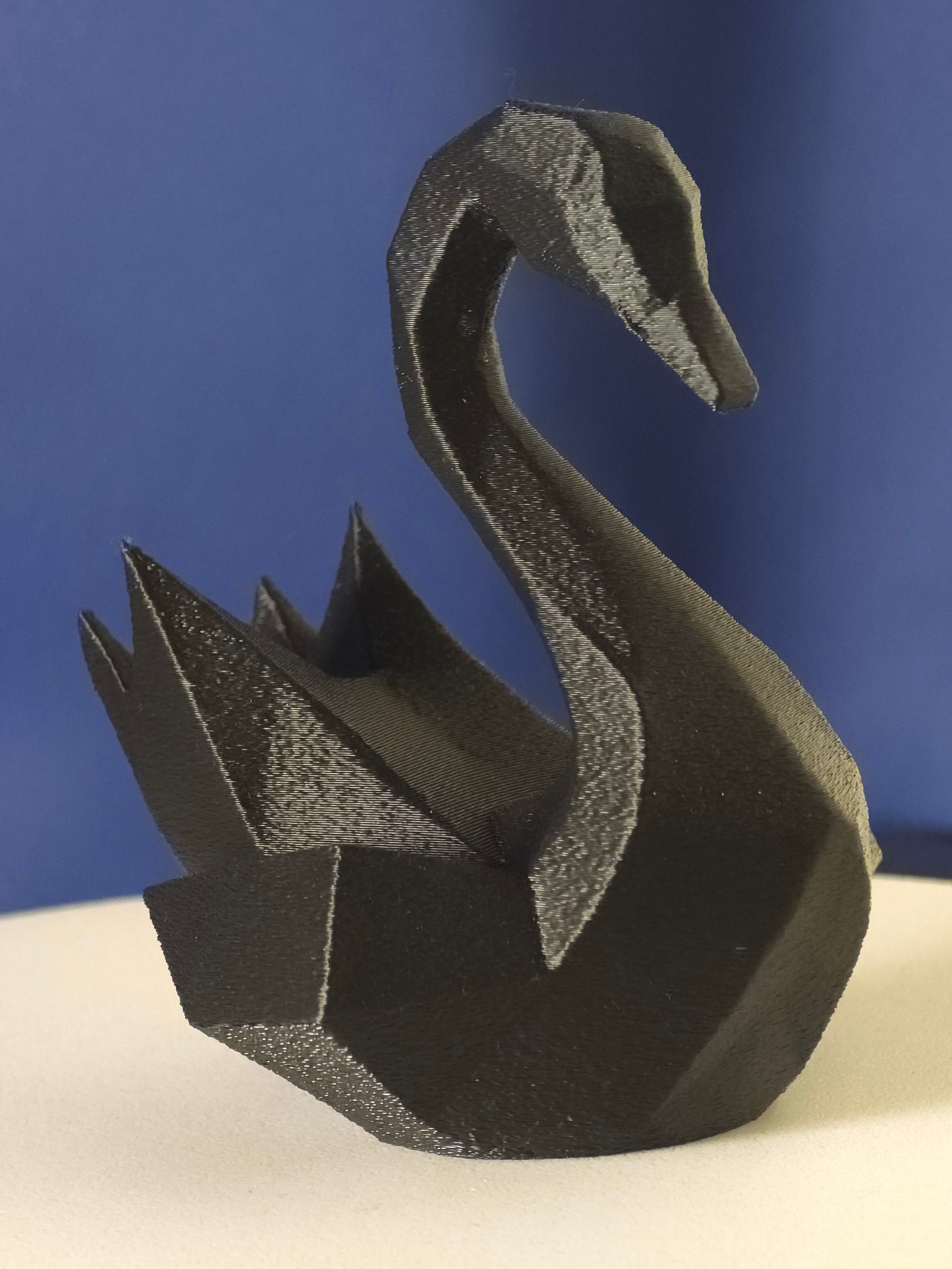 Geometric Swan