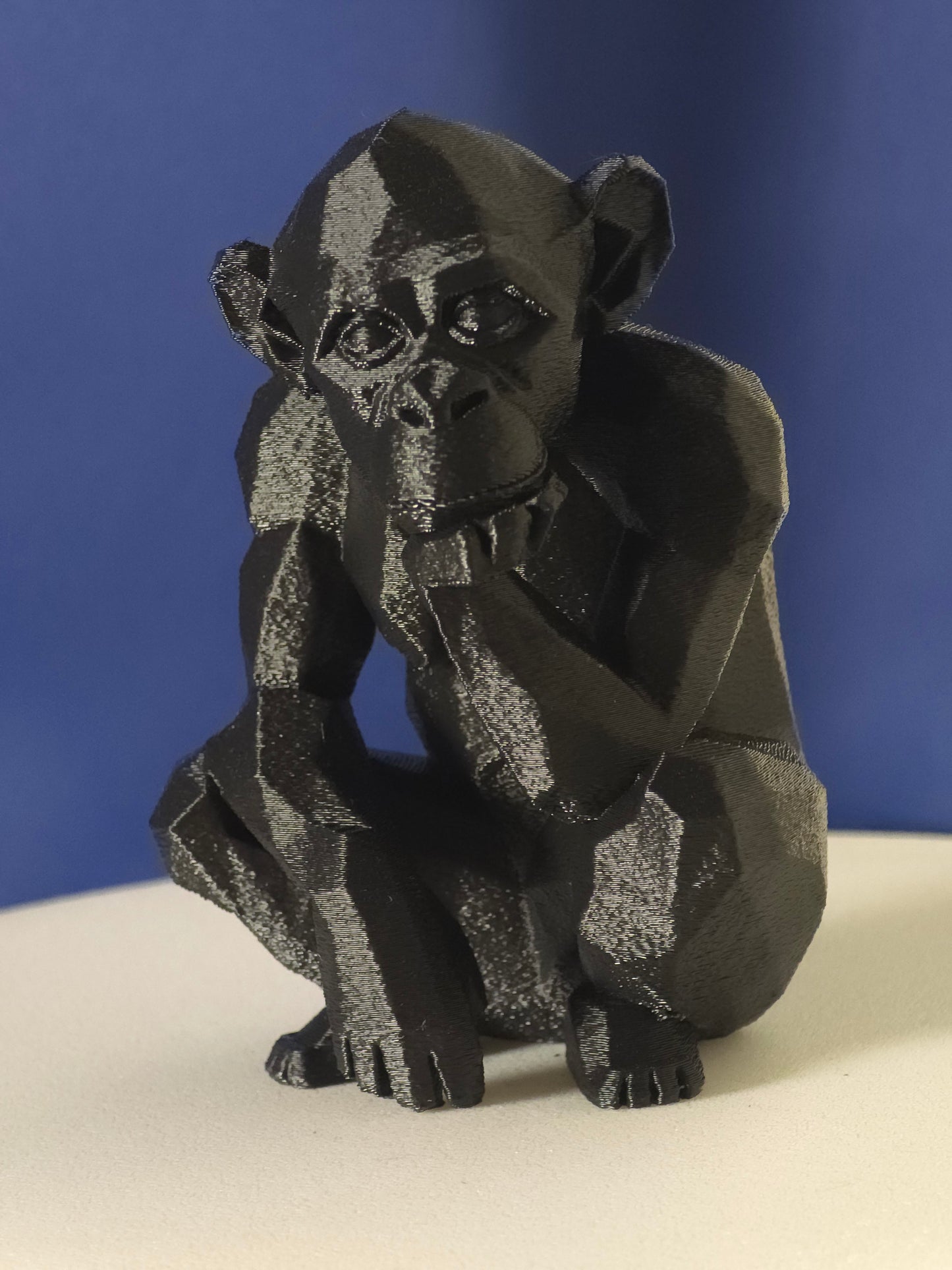 Geometric Monkey