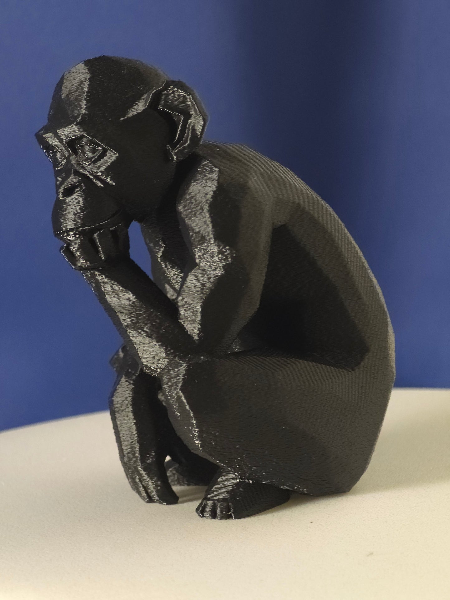 Geometric Monkey