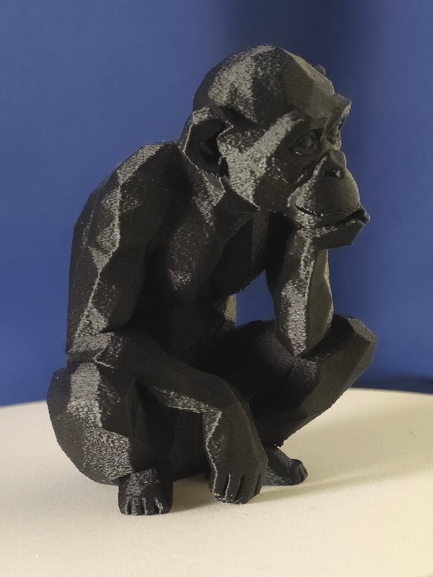 Geometric Monkey
