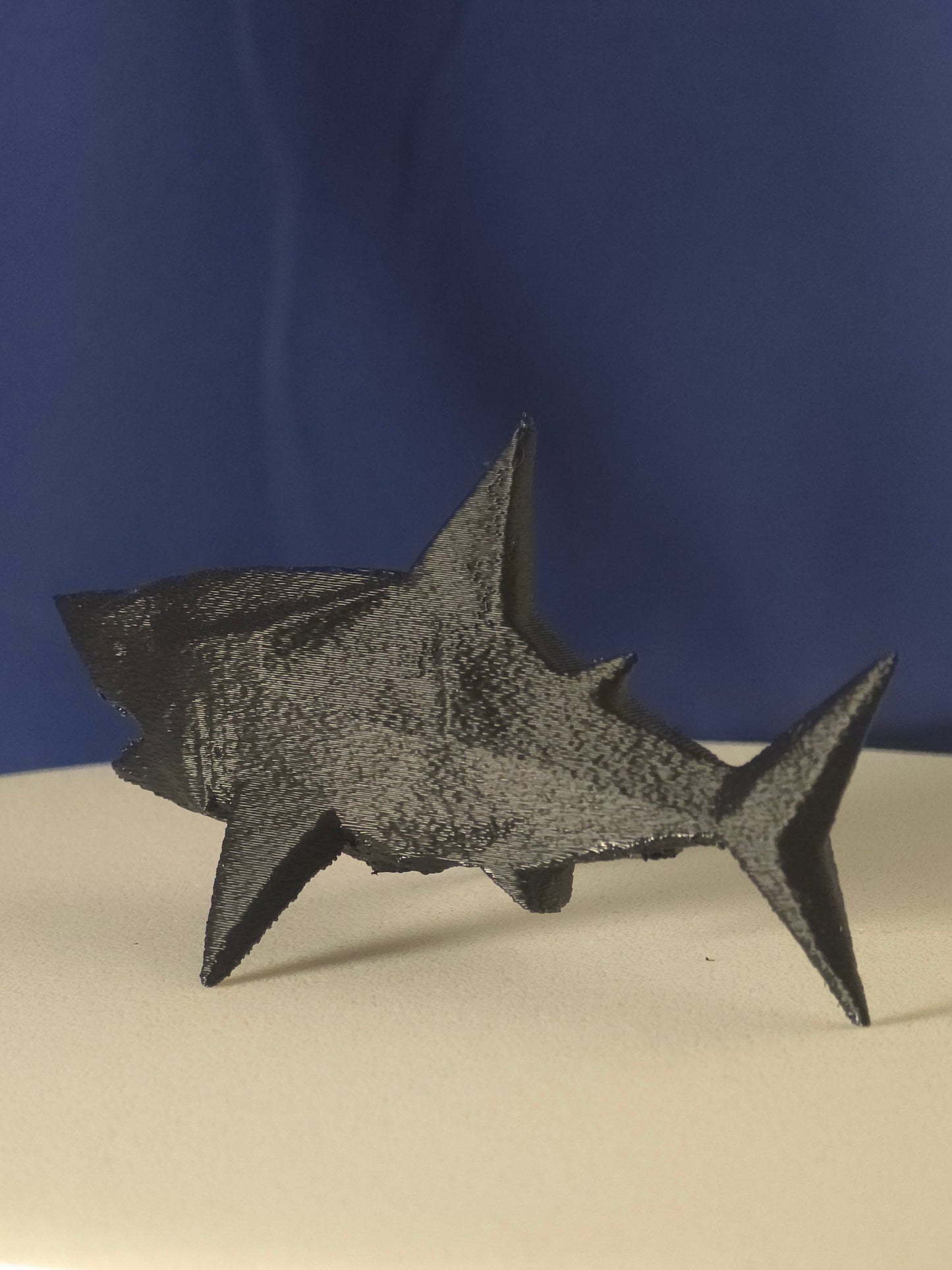 Geometric Shark