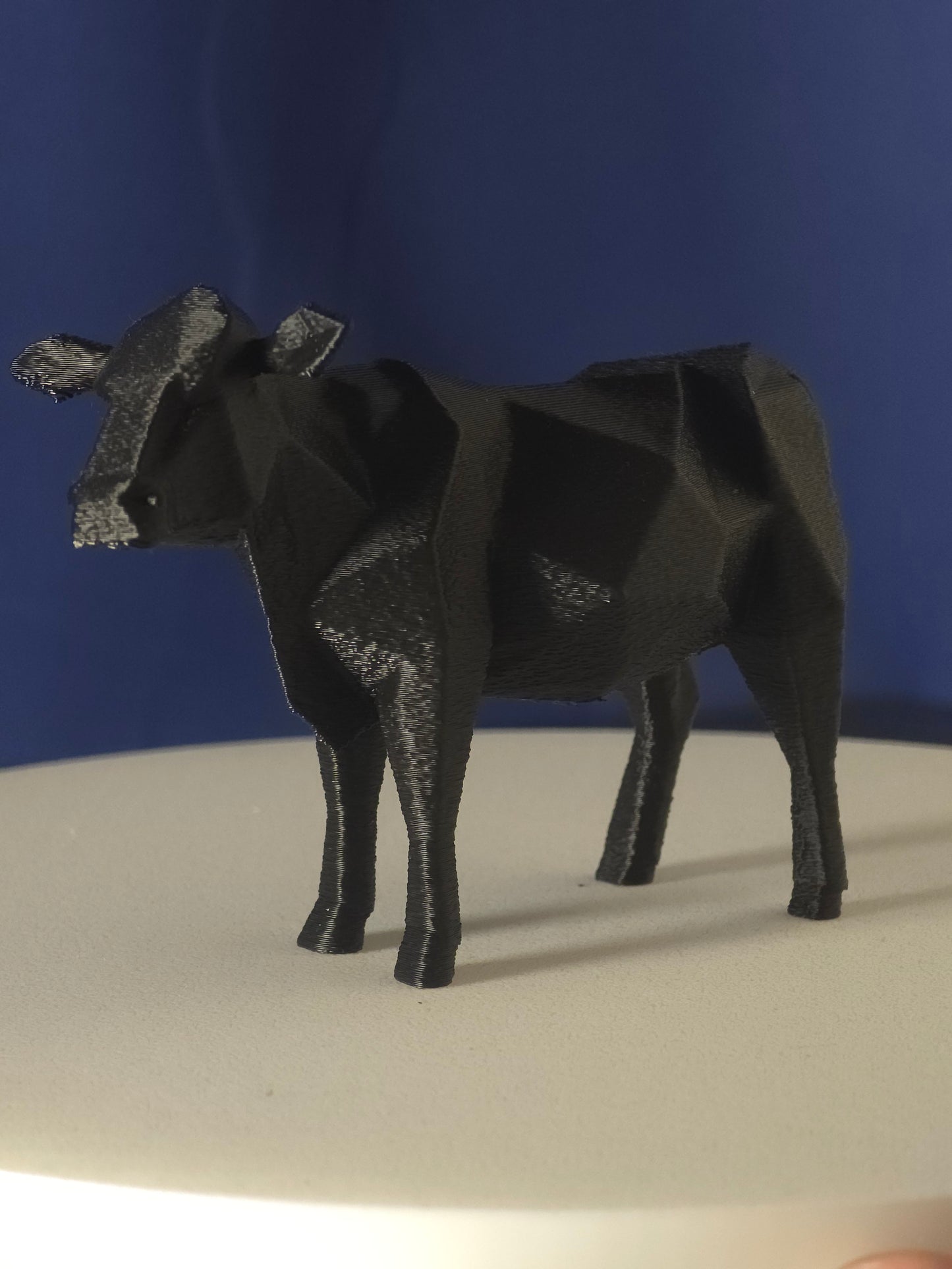 Geometric Cow