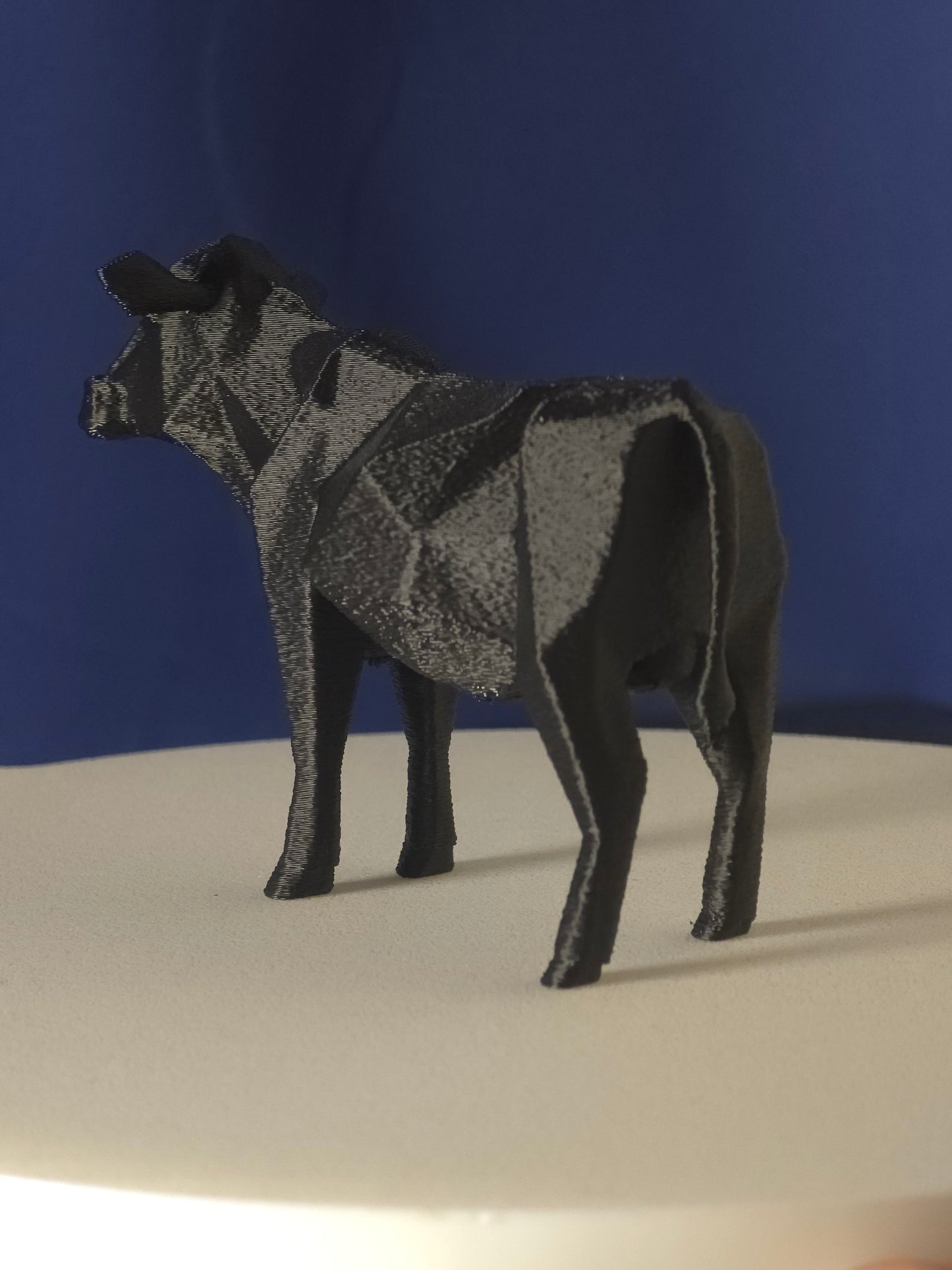 Geometric Cow
