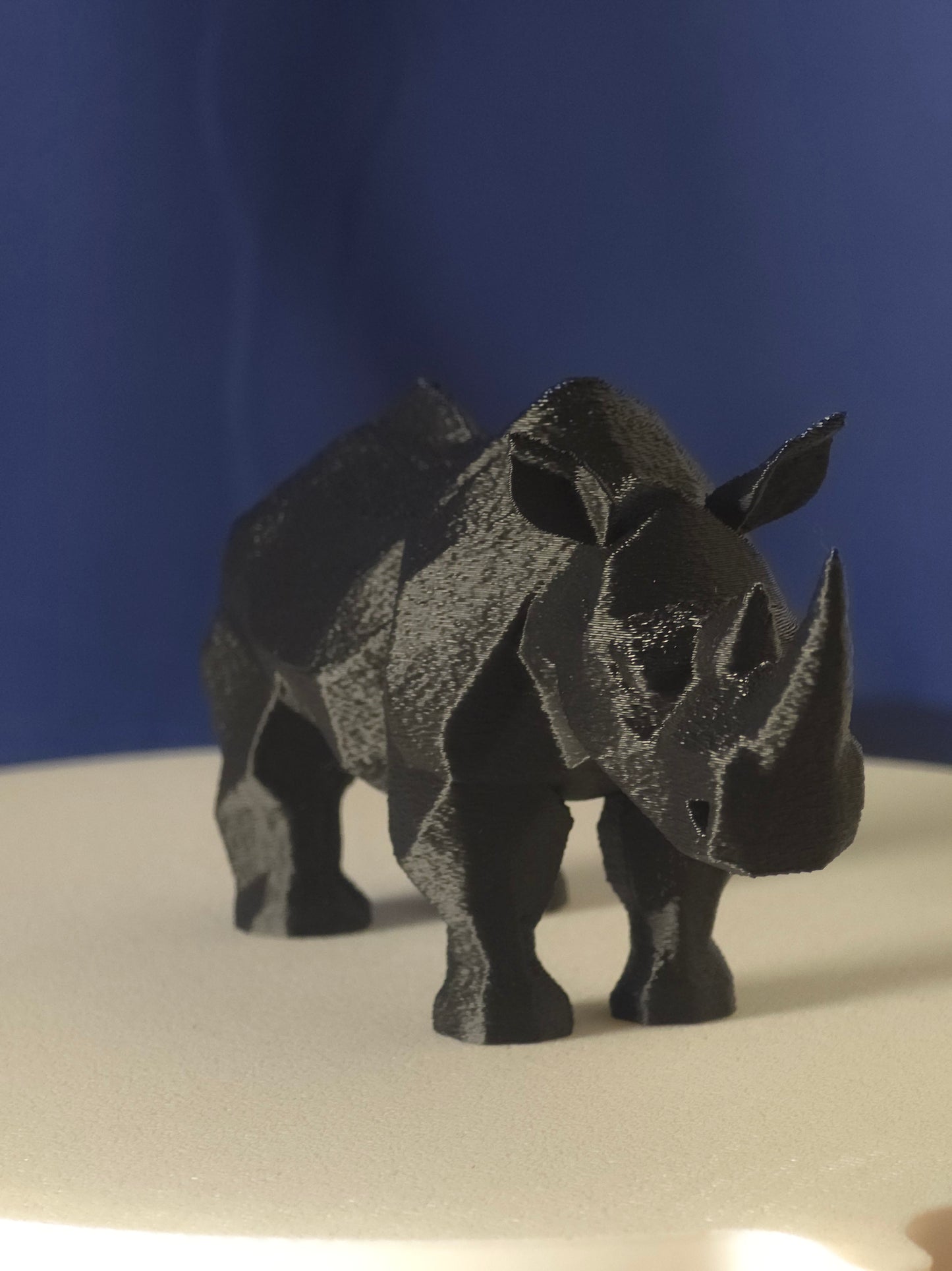 Geometric Rhino